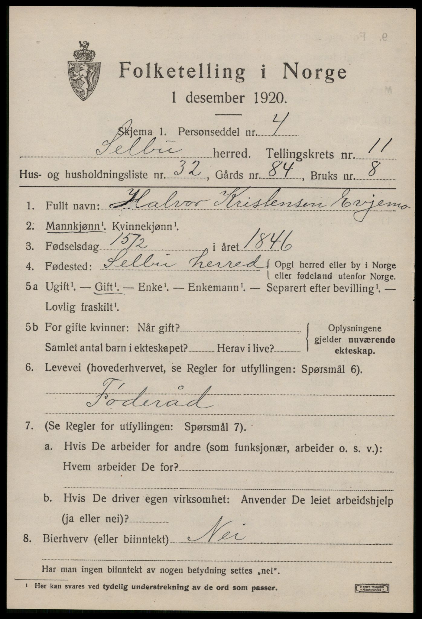 SAT, 1920 census for Selbu, 1920, p. 6502