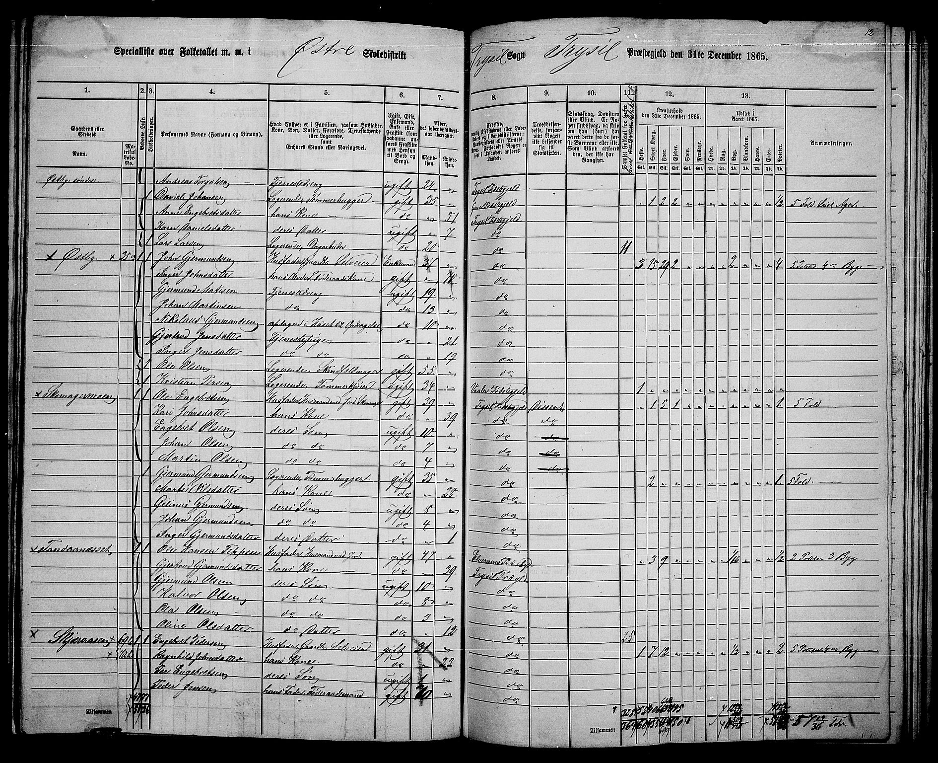 RA, 1865 census for Trysil, 1865, p. 138