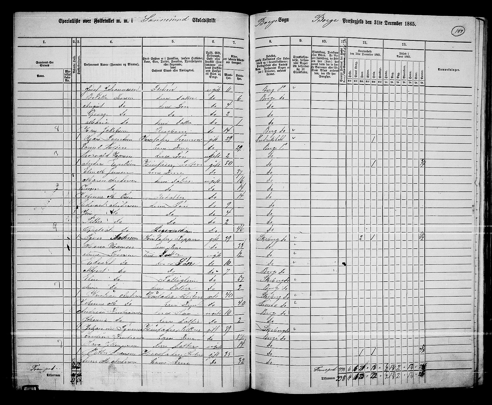 RA, 1865 census for Borge, 1865, p. 101