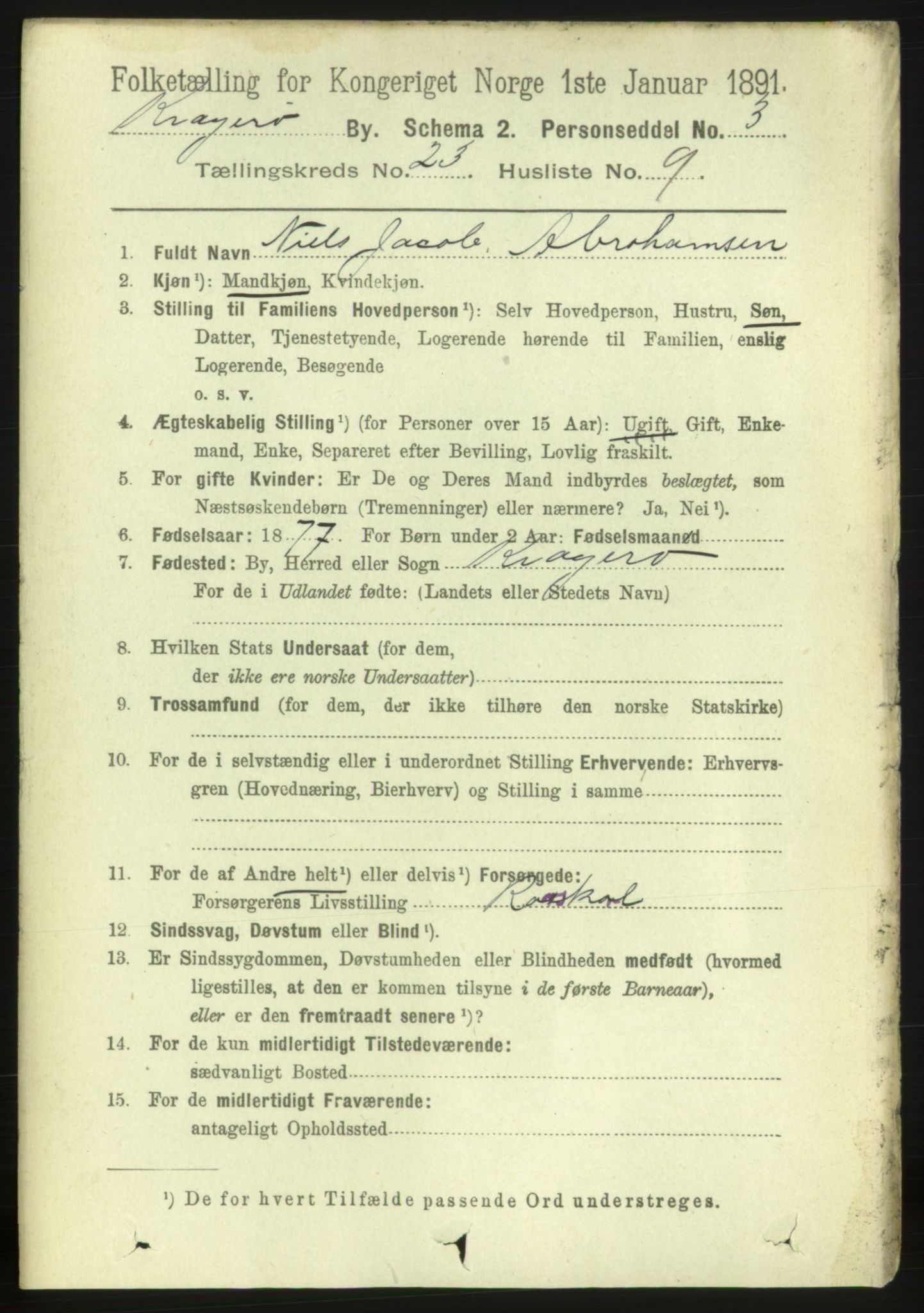 RA, 1891 census for 0801 Kragerø, 1891, p. 4989