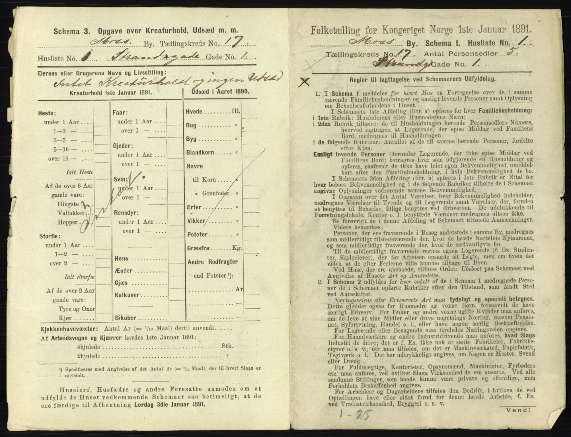 RA, 1891 census for 0104 Moss, 1891, p. 1076