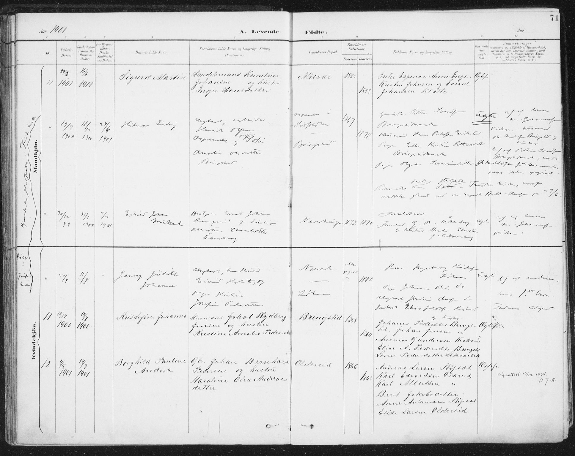 Ministerialprotokoller, klokkerbøker og fødselsregistre - Nordland, AV/SAT-A-1459/852/L0741: Parish register (official) no. 852A11, 1894-1917, p. 71
