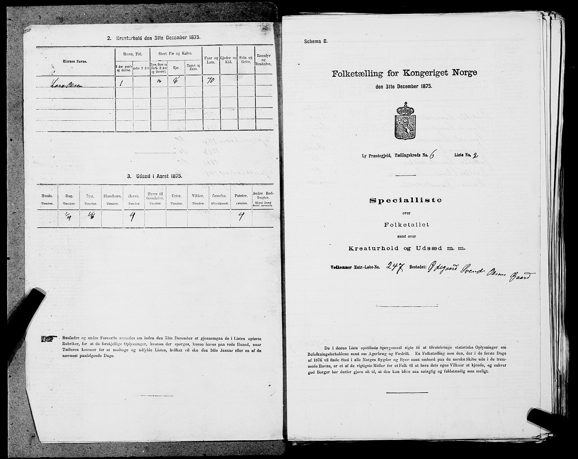 SAST, 1875 census for 1121P Lye, 1875, p. 711