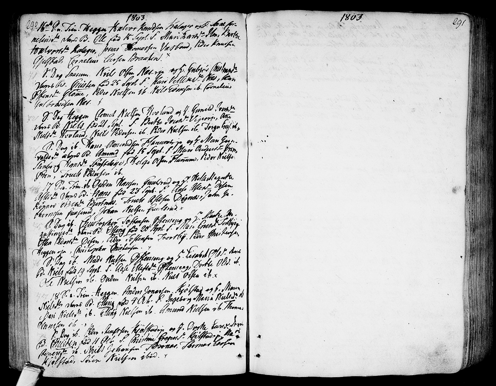 Modum kirkebøker, AV/SAKO-A-234/F/Fa/L0003: Parish register (official) no. 3, 1783-1819, p. 290-291