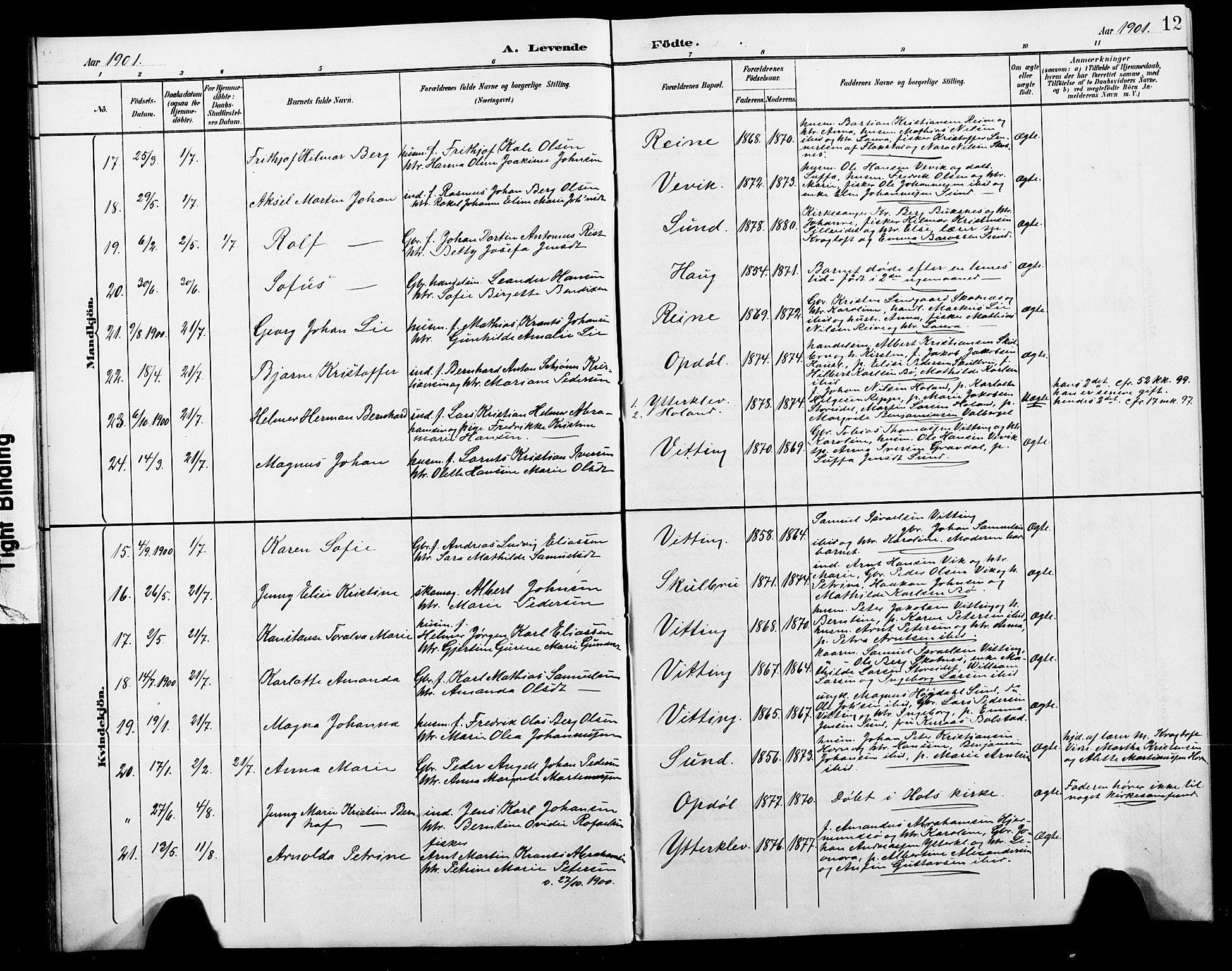 Ministerialprotokoller, klokkerbøker og fødselsregistre - Nordland, AV/SAT-A-1459/881/L1168: Parish register (copy) no. 881C05, 1900-1911, p. 12