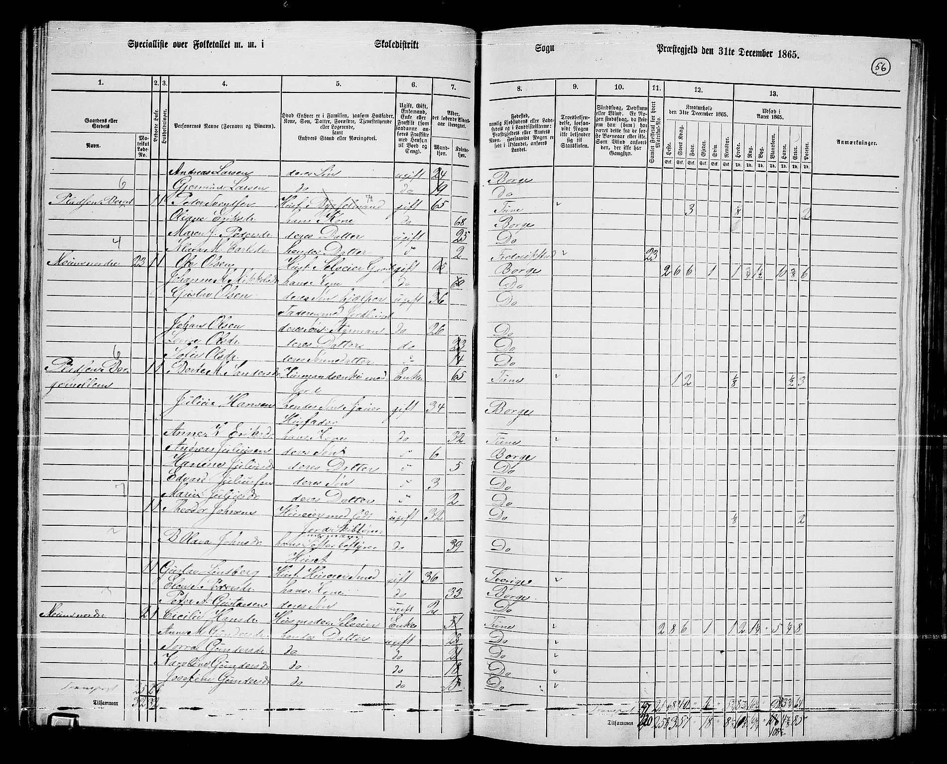 RA, 1865 census for Borge, 1865, p. 54