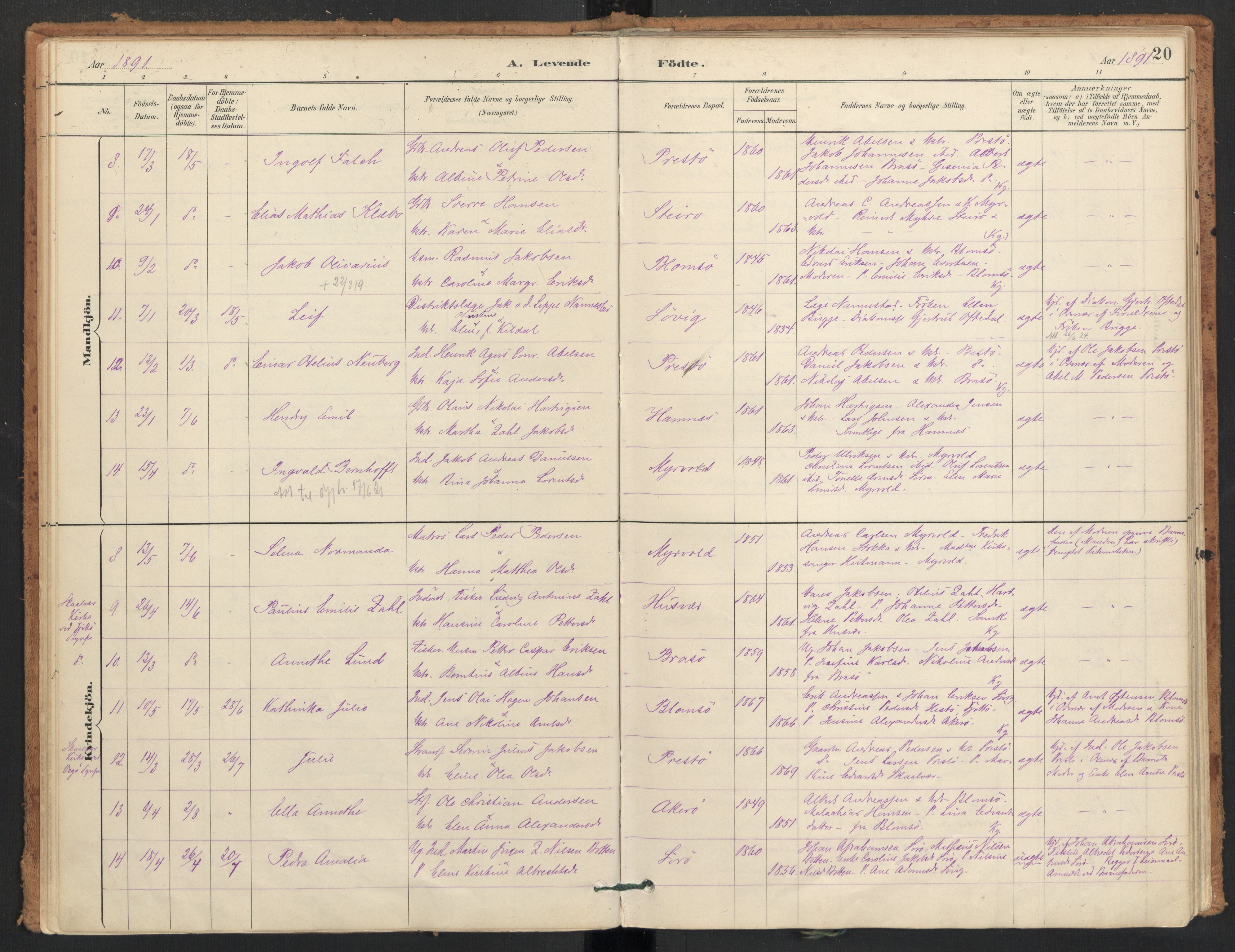 Ministerialprotokoller, klokkerbøker og fødselsregistre - Nordland, AV/SAT-A-1459/830/L0453: Parish register (official) no. 830A17, 1886-1911, p. 20