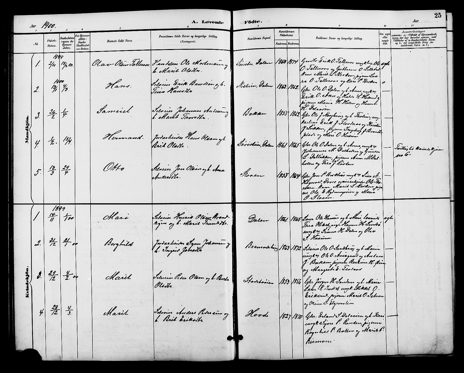 Alvdal prestekontor, SAH/PREST-060/H/Ha/Hab/L0004: Parish register (copy) no. 4, 1894-1910, p. 25