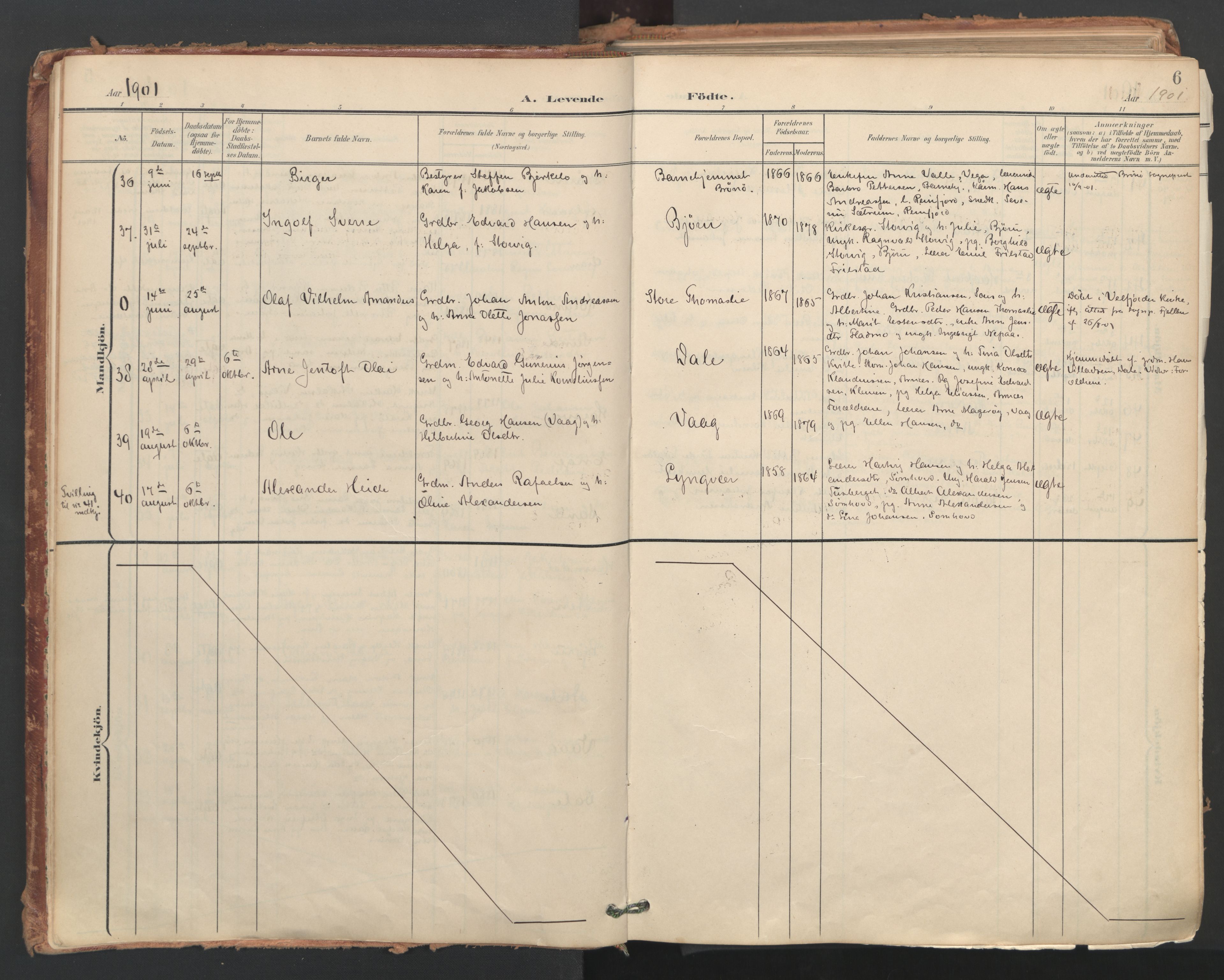 Ministerialprotokoller, klokkerbøker og fødselsregistre - Nordland, AV/SAT-A-1459/812/L0180: Parish register (official) no. 812A09, 1901-1915, p. 6