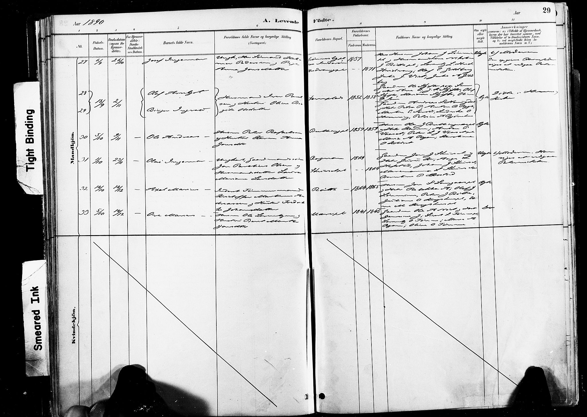 Ministerialprotokoller, klokkerbøker og fødselsregistre - Nord-Trøndelag, SAT/A-1458/735/L0351: Parish register (official) no. 735A10, 1884-1908, p. 29