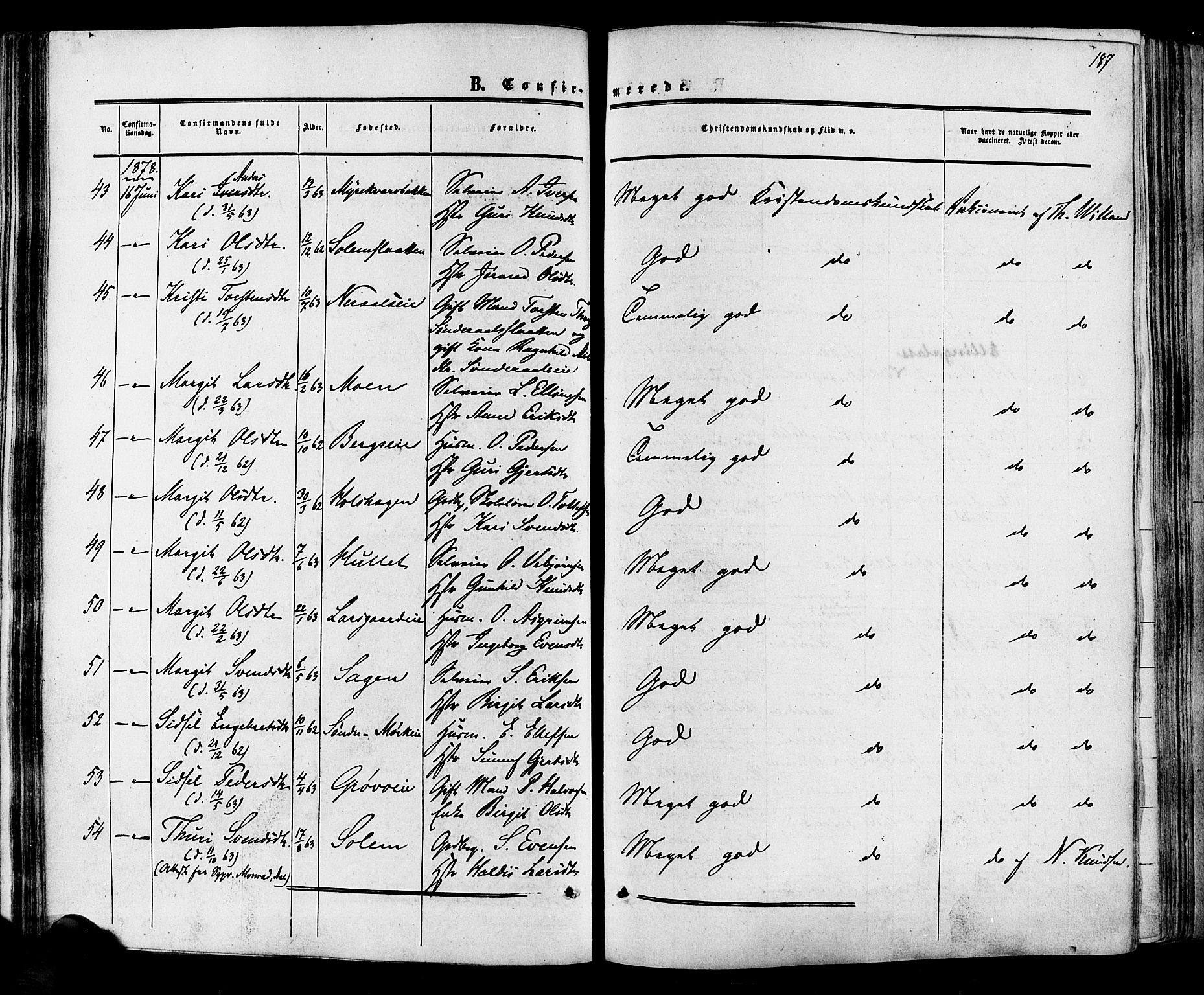 Hol kirkebøker, AV/SAKO-A-227/F/Fa/L0002: Parish register (official) no. I 2, 1870-1886, p. 187