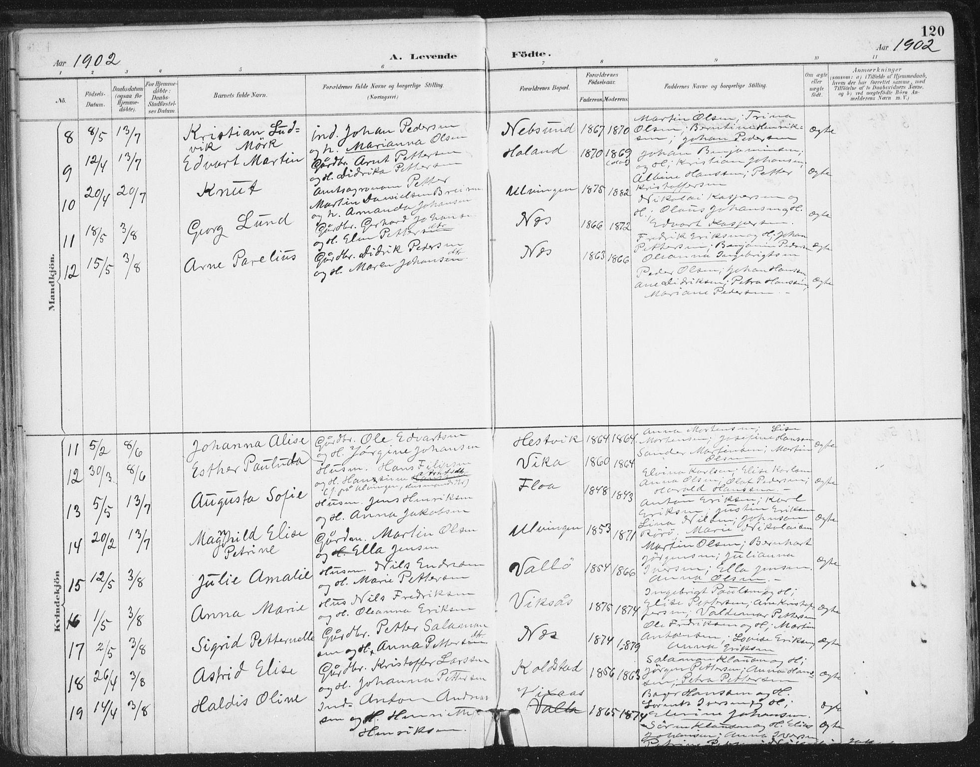 Ministerialprotokoller, klokkerbøker og fødselsregistre - Nordland, AV/SAT-A-1459/816/L0244: Parish register (official) no. 816A10, 1886-1903, p. 120