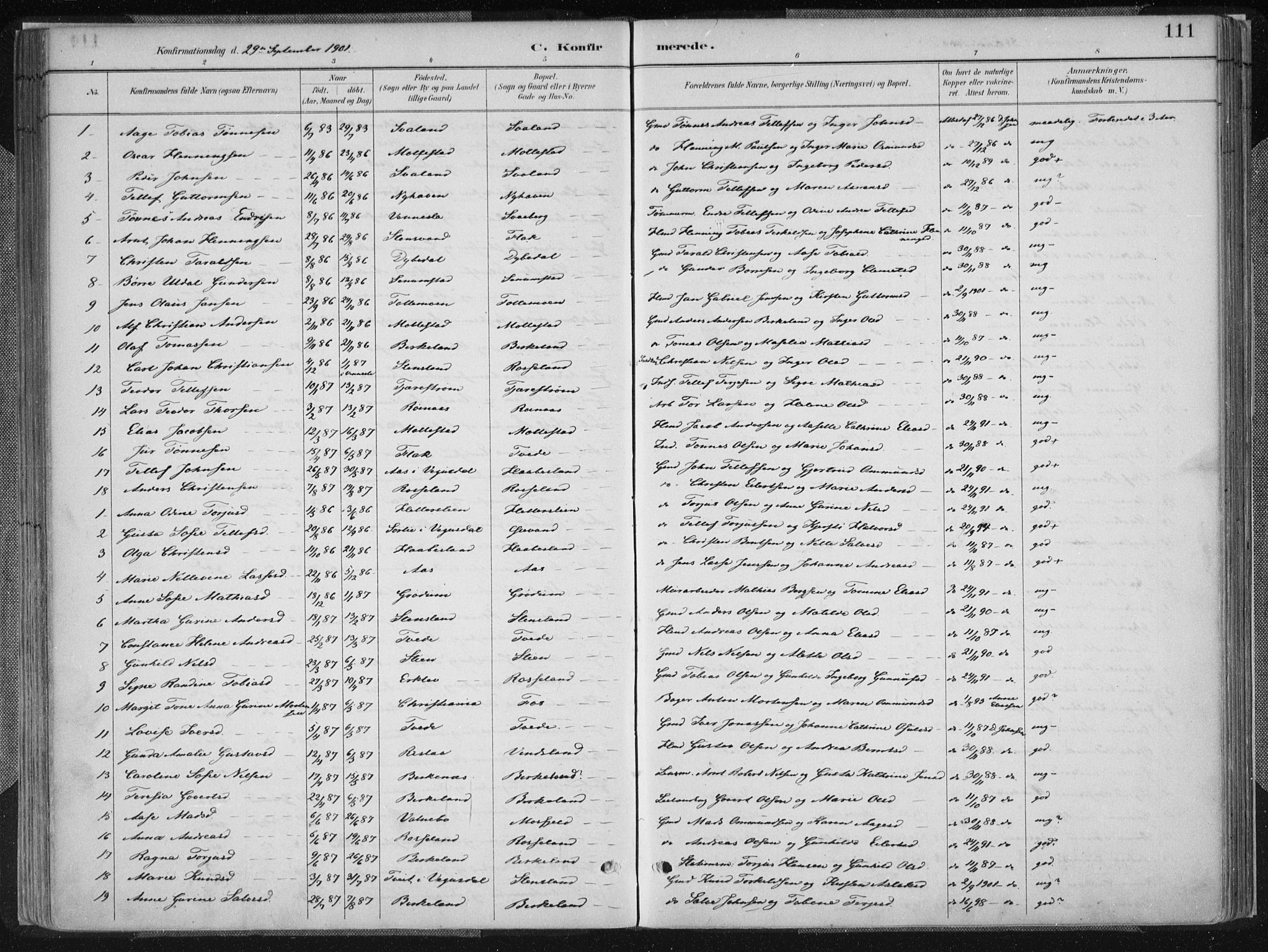 Birkenes sokneprestkontor, SAK/1111-0004/F/Fa/L0005: Parish register (official) no. A 5, 1887-1907, p. 111