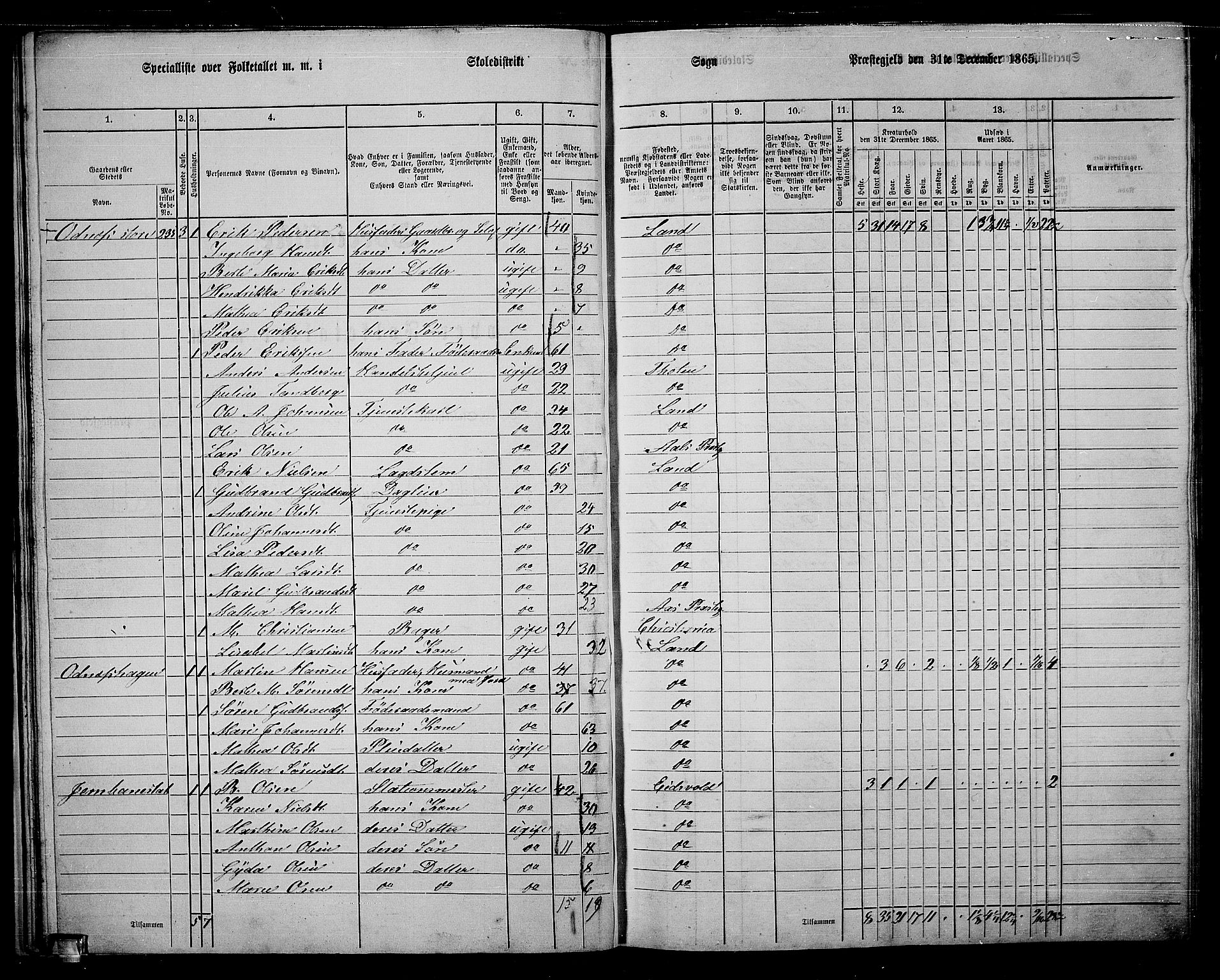 RA, 1865 census for Land, 1865, p. 244