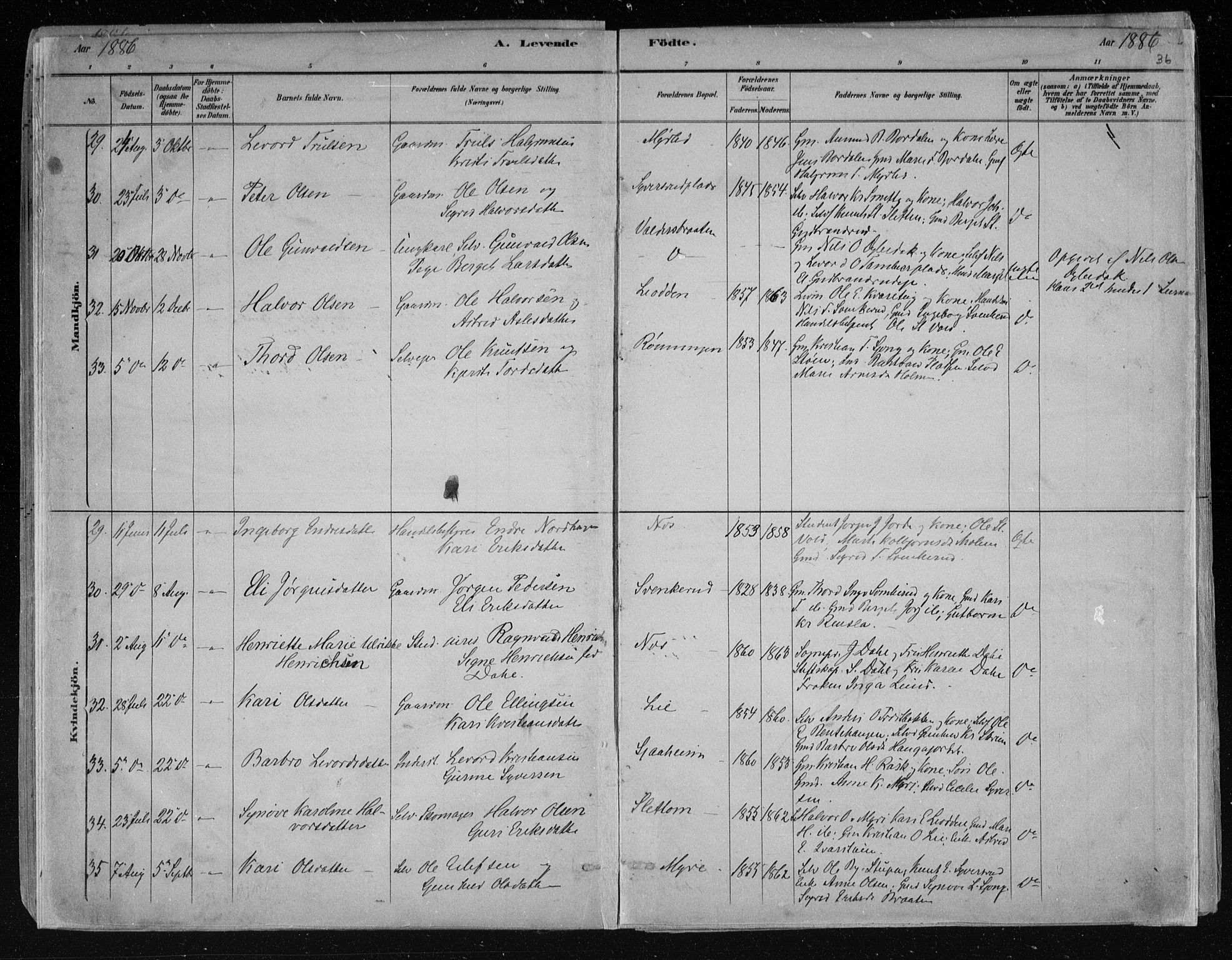 Nes kirkebøker, AV/SAKO-A-236/F/Fa/L0011: Parish register (official) no. 11, 1881-1912, p. 36