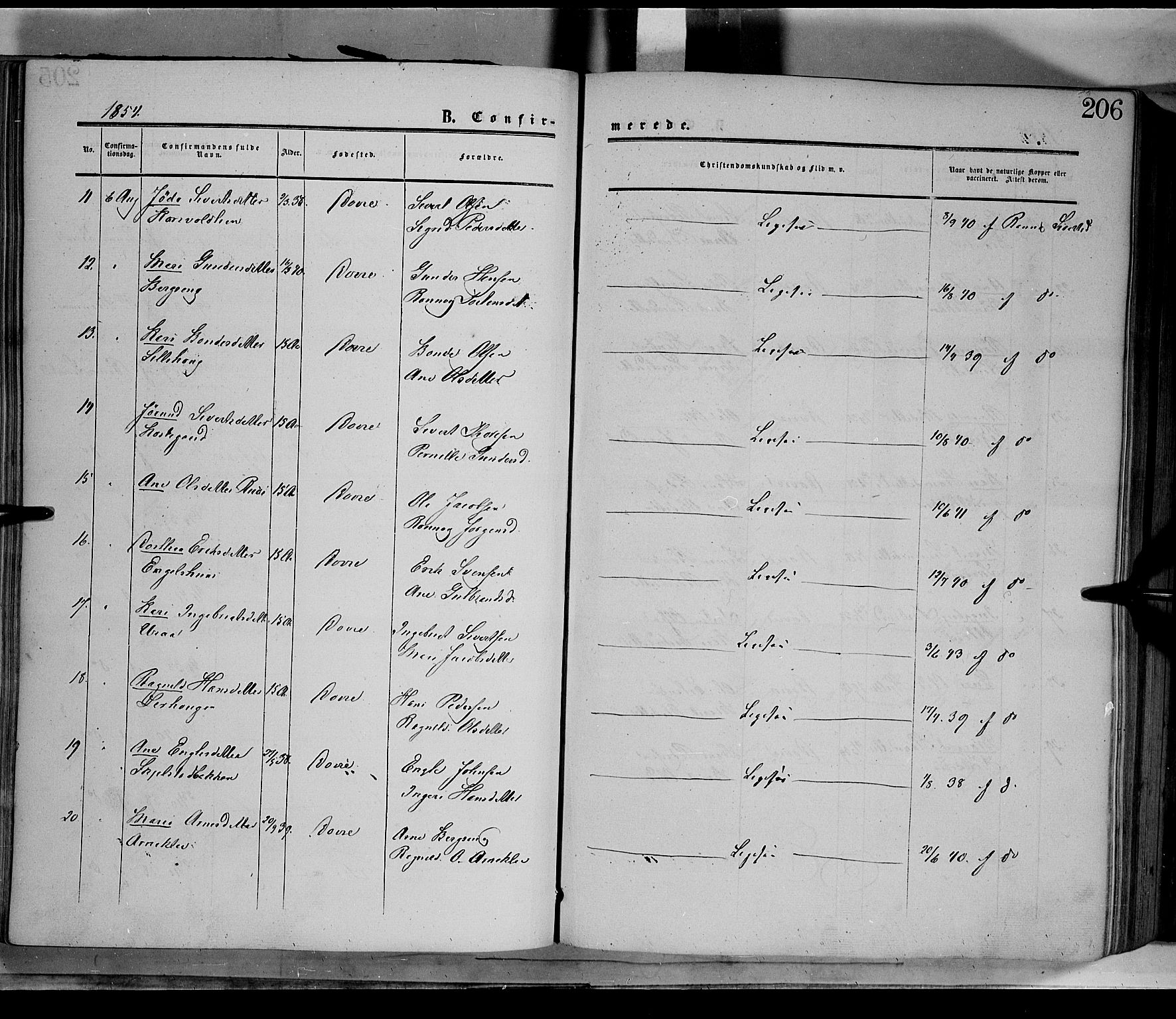 Dovre prestekontor, AV/SAH-PREST-066/H/Ha/Haa/L0001: Parish register (official) no. 1, 1854-1878, p. 206