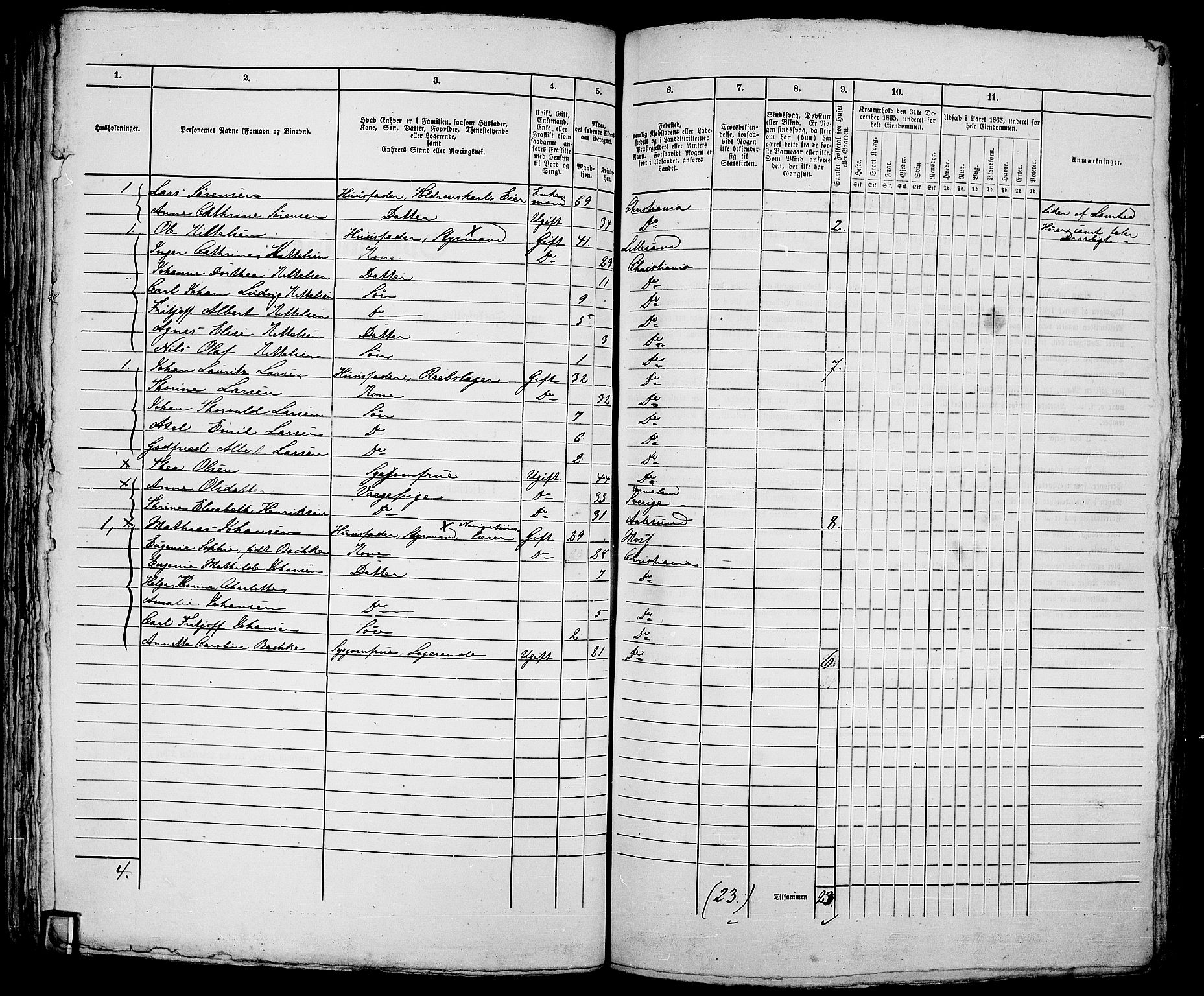 RA, 1865 census for Kristiania, 1865, p. 1311