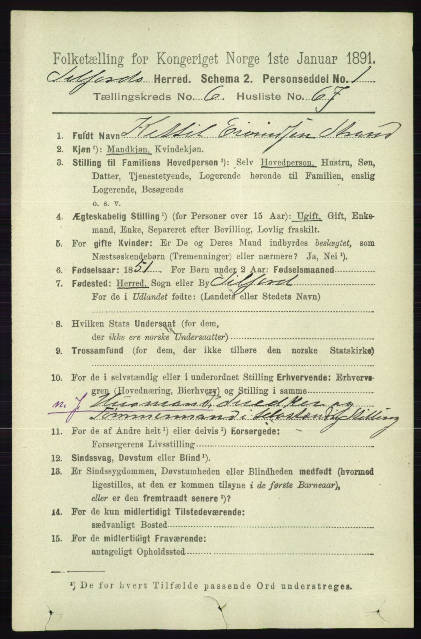 RA, 1891 census for 0828 Seljord, 1891, p. 2557