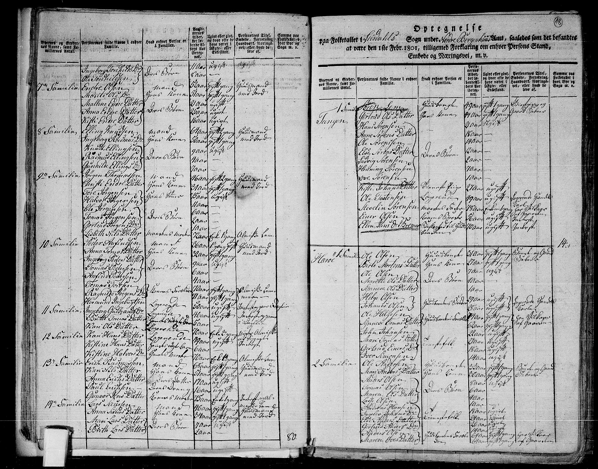 RA, 1801 census for 1422P Lærdal, 1801, p. 17b-18a