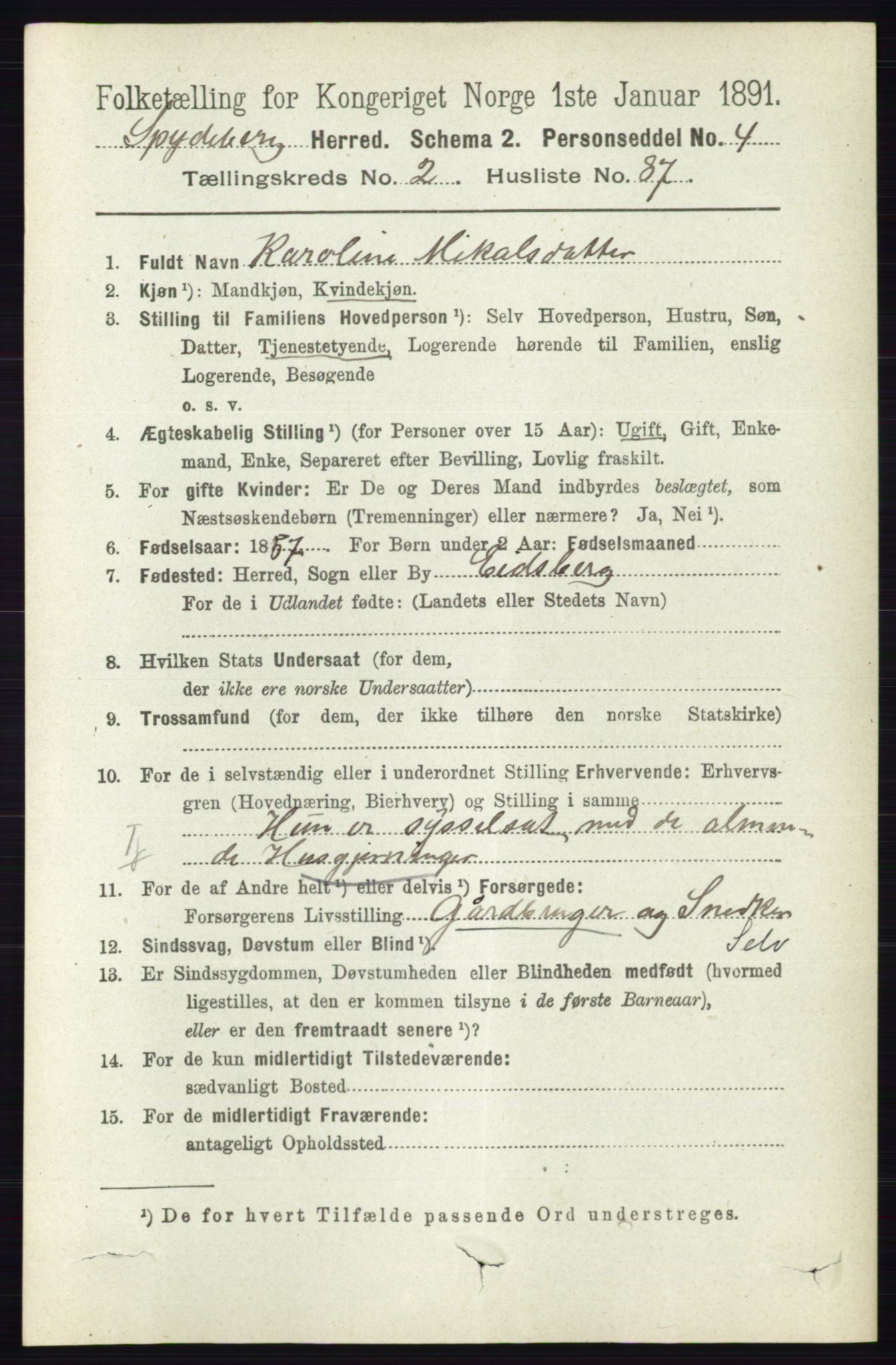 RA, 1891 census for 0123 Spydeberg, 1891, p. 1135