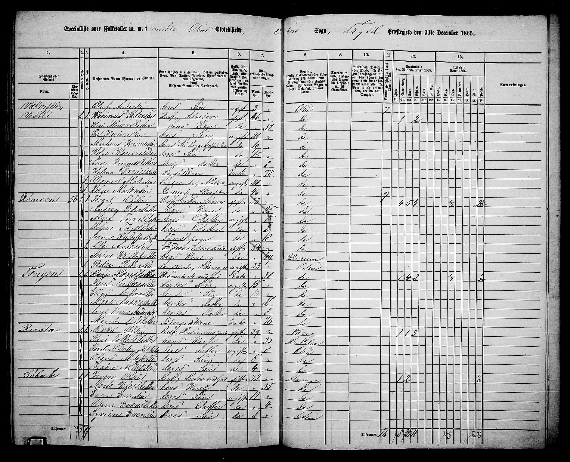 RA, 1865 census for Trysil, 1865, p. 161