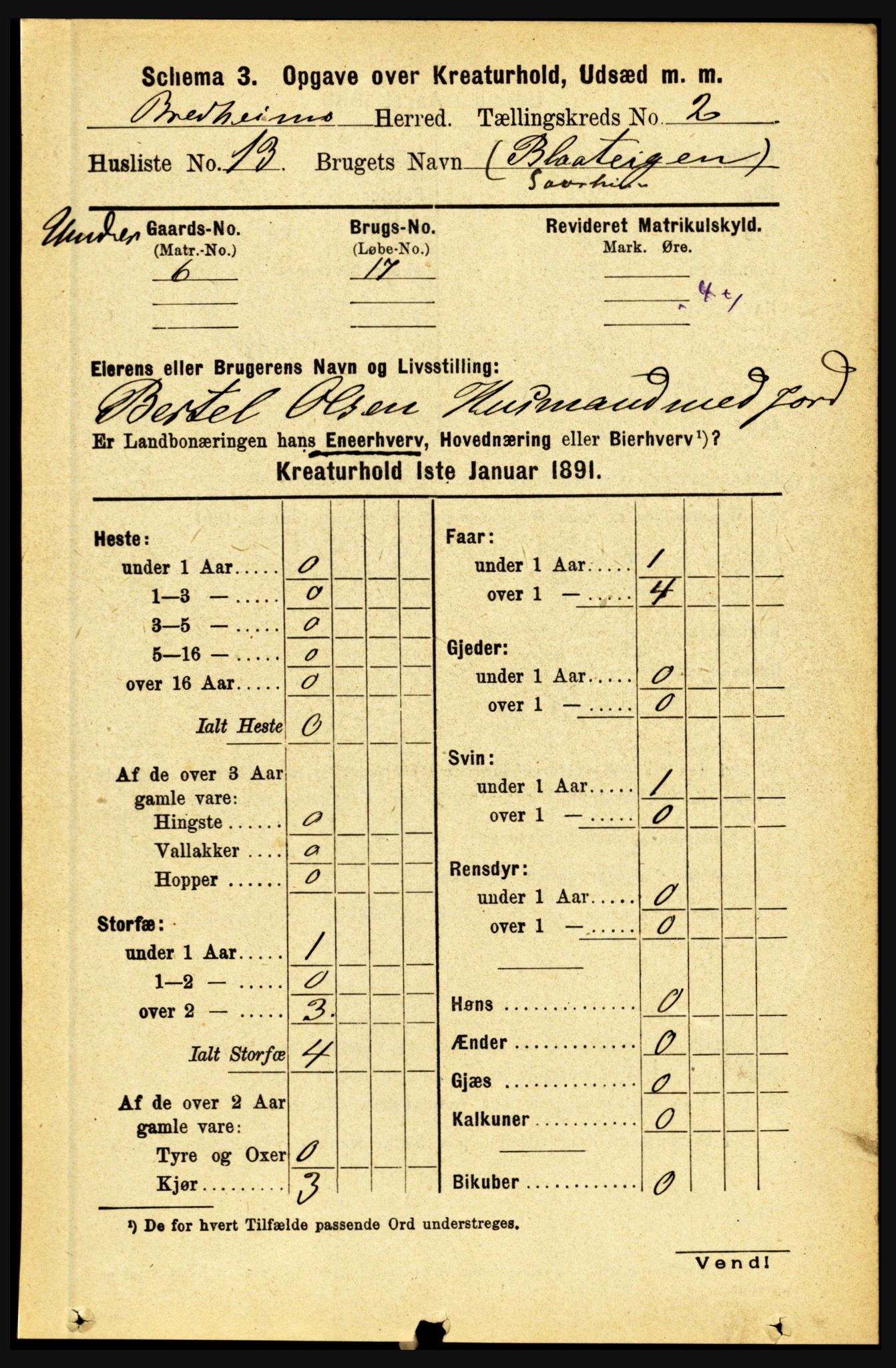 RA, 1891 census for 1446 Breim, 1891, p. 2428