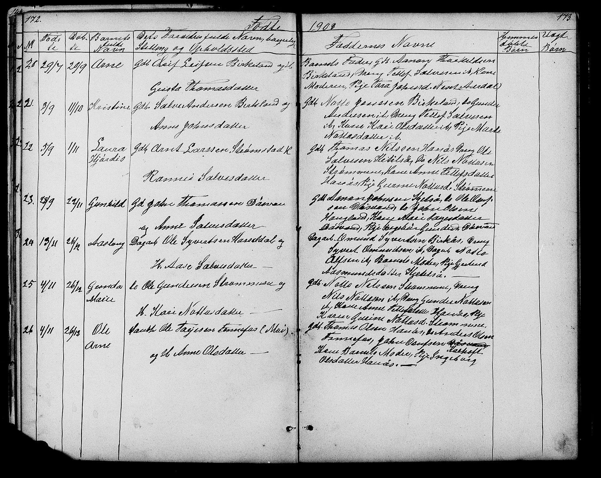 Evje sokneprestkontor, AV/SAK-1111-0008/F/Fb/Fbb/L0002: Parish register (copy) no. B 2, 1879-1909, p. 172-173