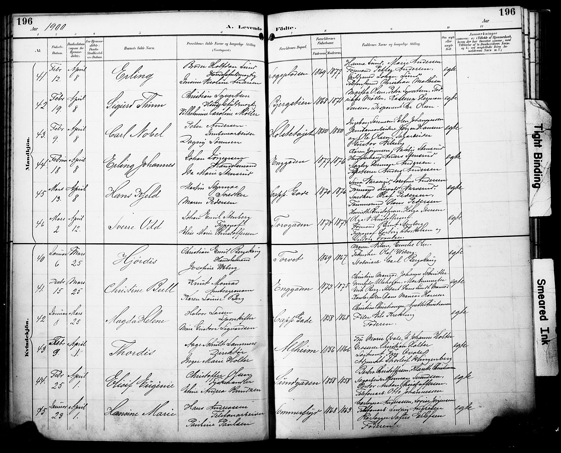 Bragernes kirkebøker, AV/SAKO-A-6/F/Fb/L0008: Parish register (official) no. II 8, 1894-1902, p. 196