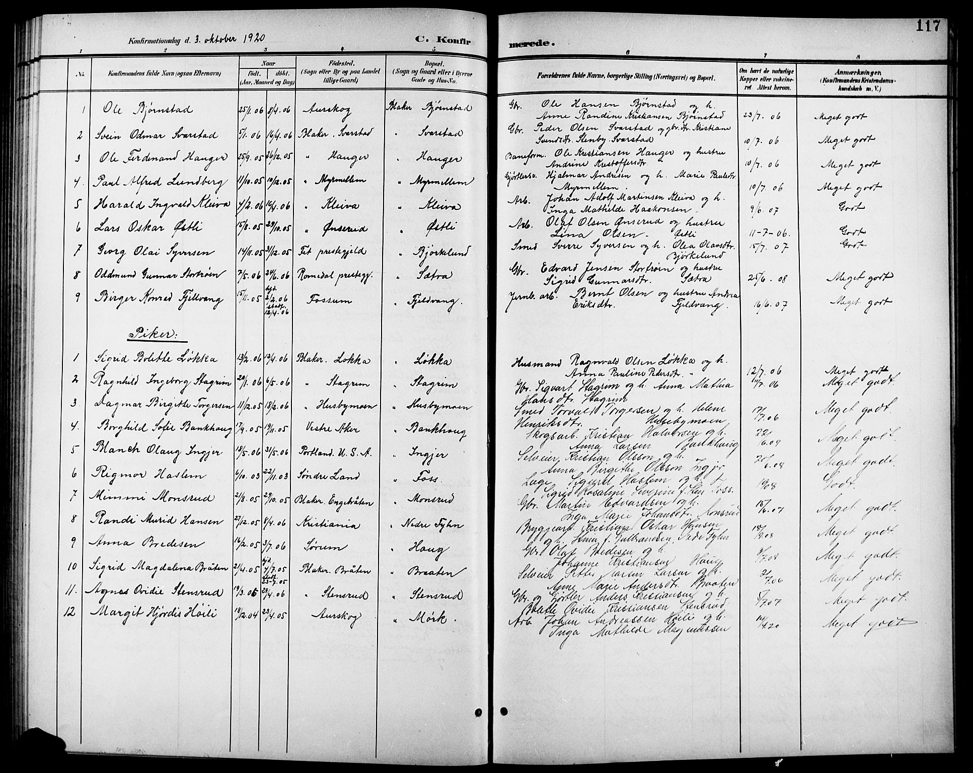 Aurskog prestekontor Kirkebøker, SAO/A-10304a/G/Gb/L0002: Parish register (copy) no. II 2, 1901-1926, p. 117
