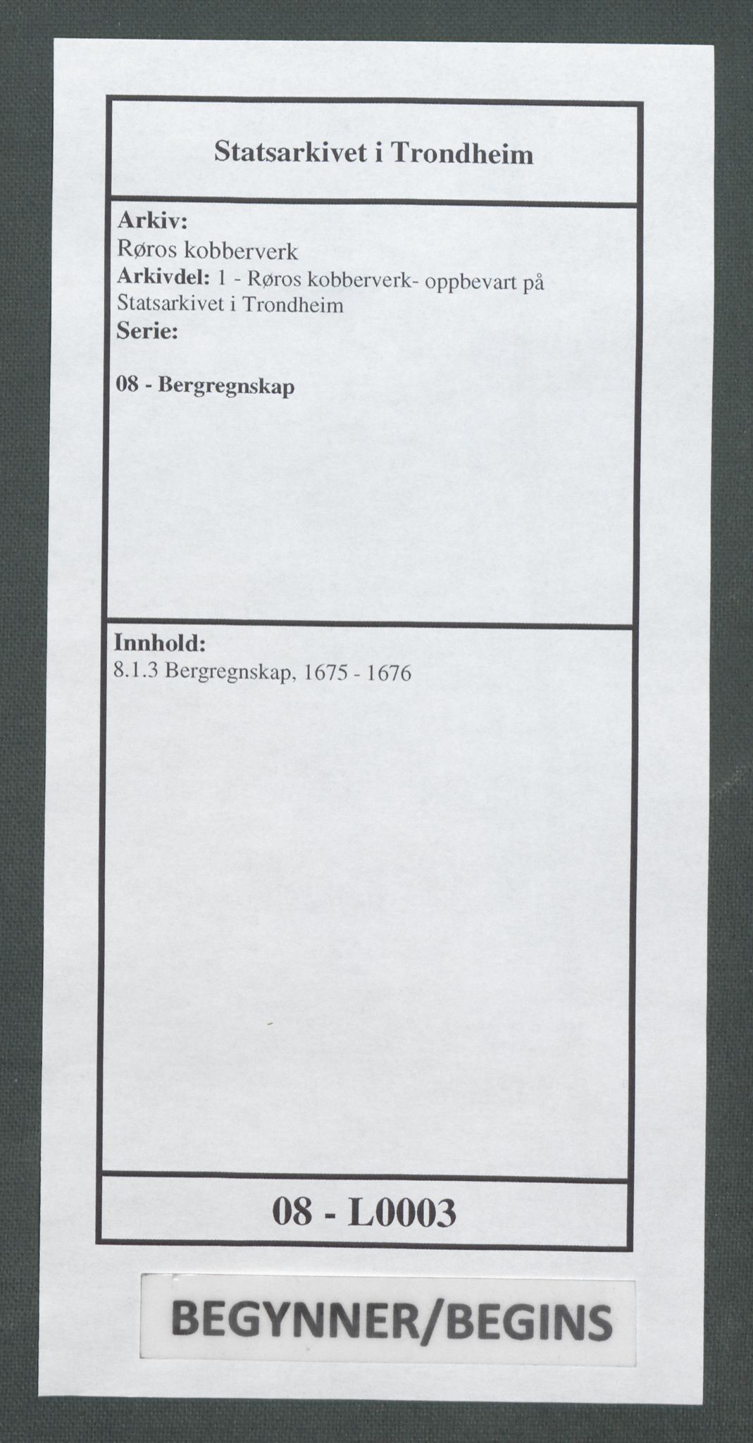 Røros kobberverk, SAT/PA-0211/1/08/L0003: 8.1.3 Bergregnskap, 1675-1676