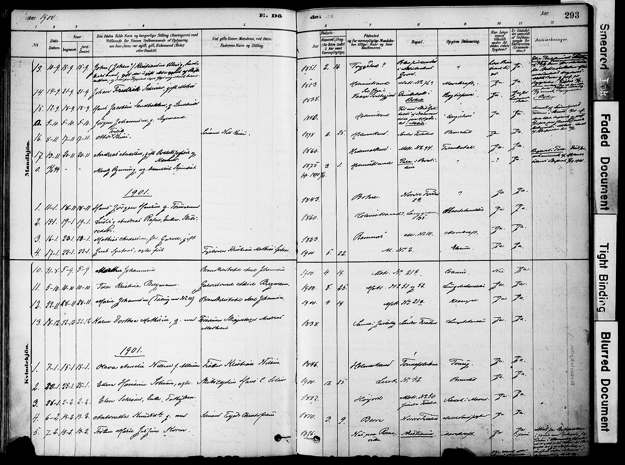 Holmestrand kirkebøker, AV/SAKO-A-346/F/Fa/L0004: Parish register (official) no. 4, 1880-1901, p. 293