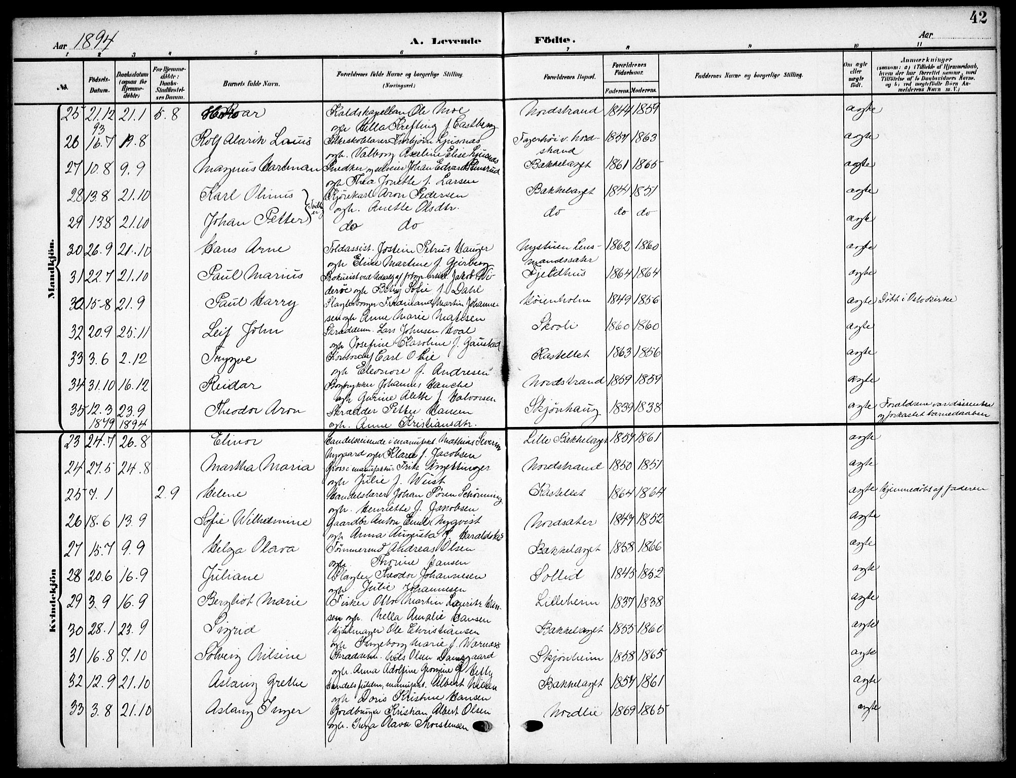 Nordstrand prestekontor Kirkebøker, AV/SAO-A-10362a/F/Fa/L0000: Parish register (official) no.  0, 1881-1900, p. 42