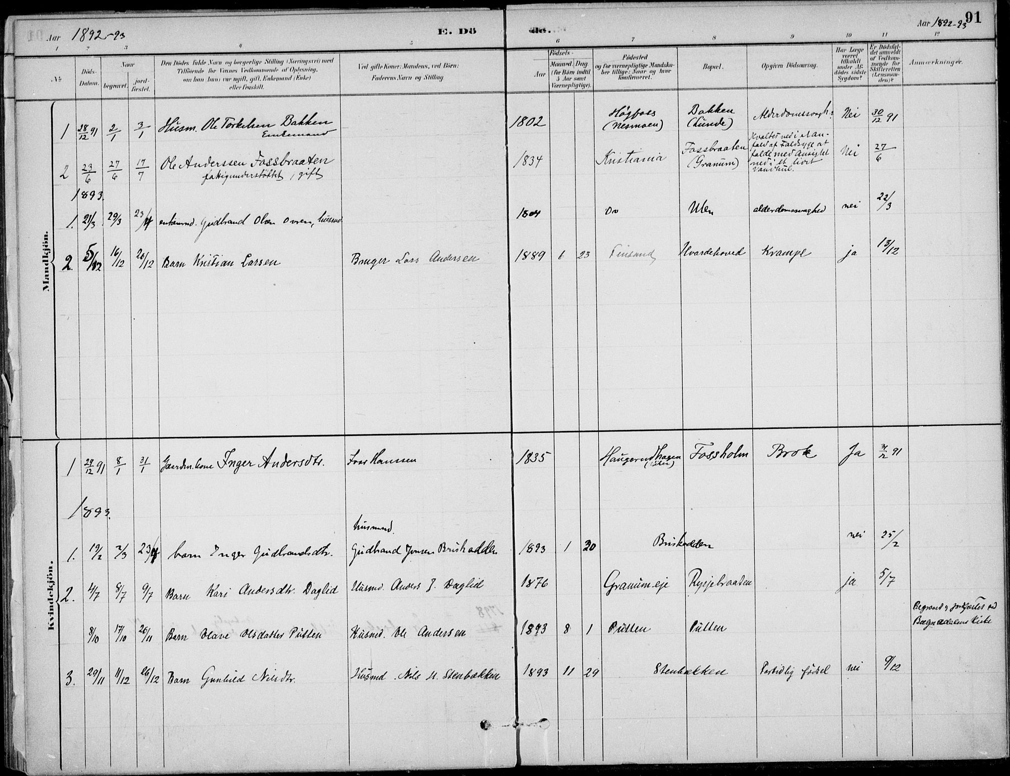 Ådal kirkebøker, AV/SAKO-A-248/F/Fa/L0004: Parish register (official) no. I 4, 1884-1904, p. 91