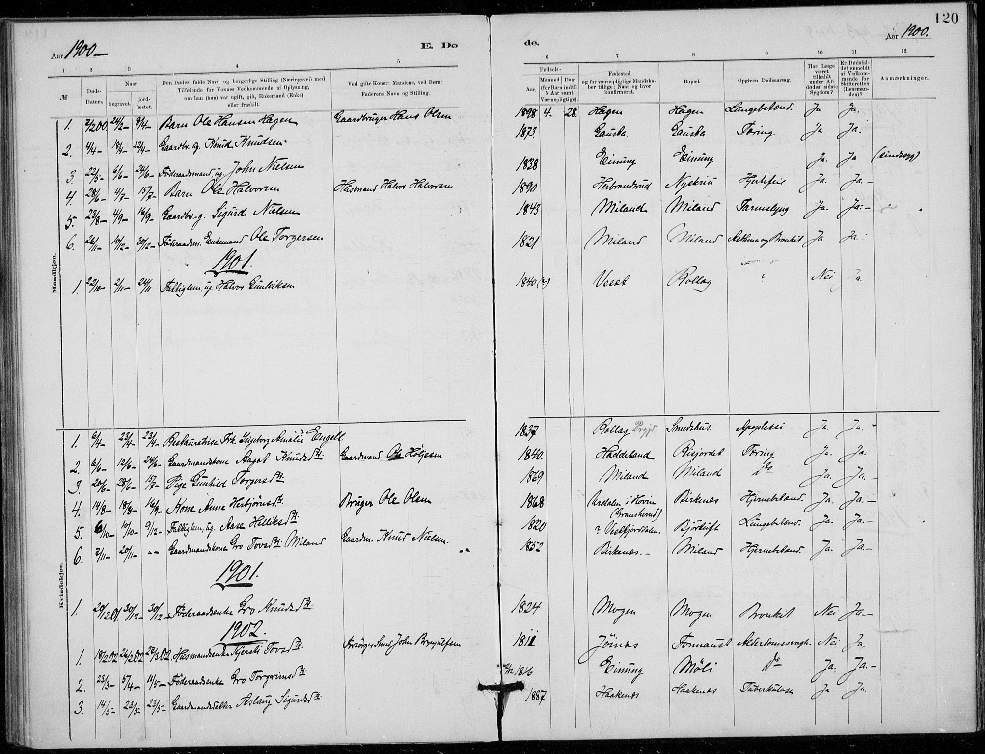 Tinn kirkebøker, AV/SAKO-A-308/F/Fb/L0002: Parish register (official) no. II 2, 1878-1917, p. 120