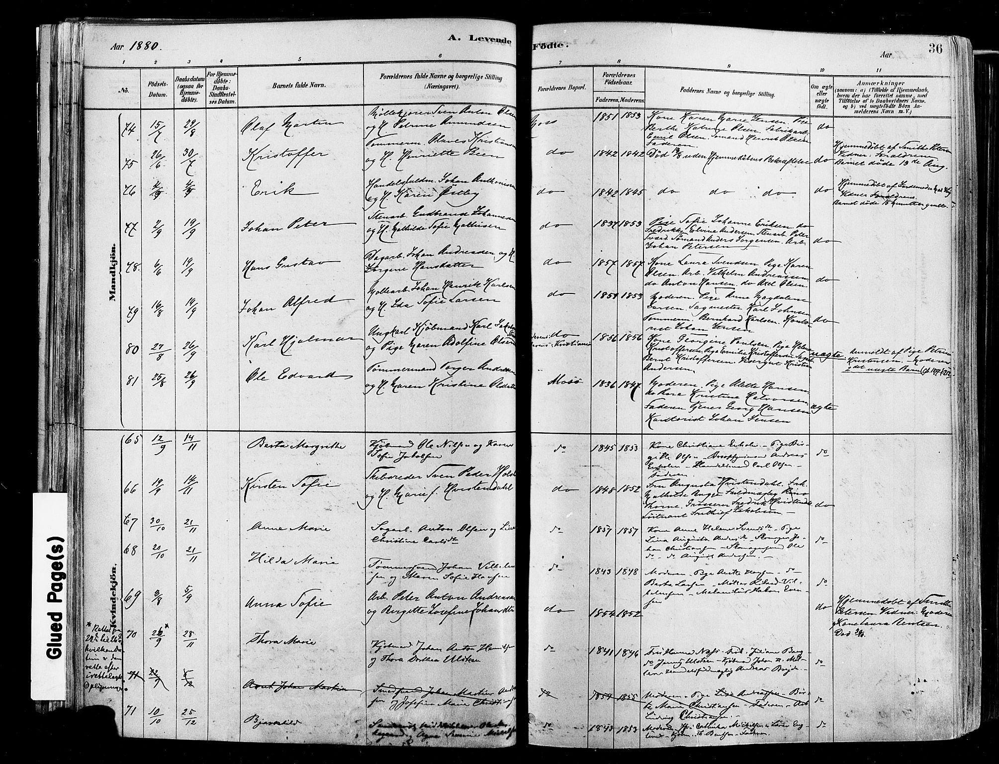 Moss prestekontor Kirkebøker, AV/SAO-A-2003/F/Fb/L0001: Parish register (official) no. II 1, 1878-1886, p. 36