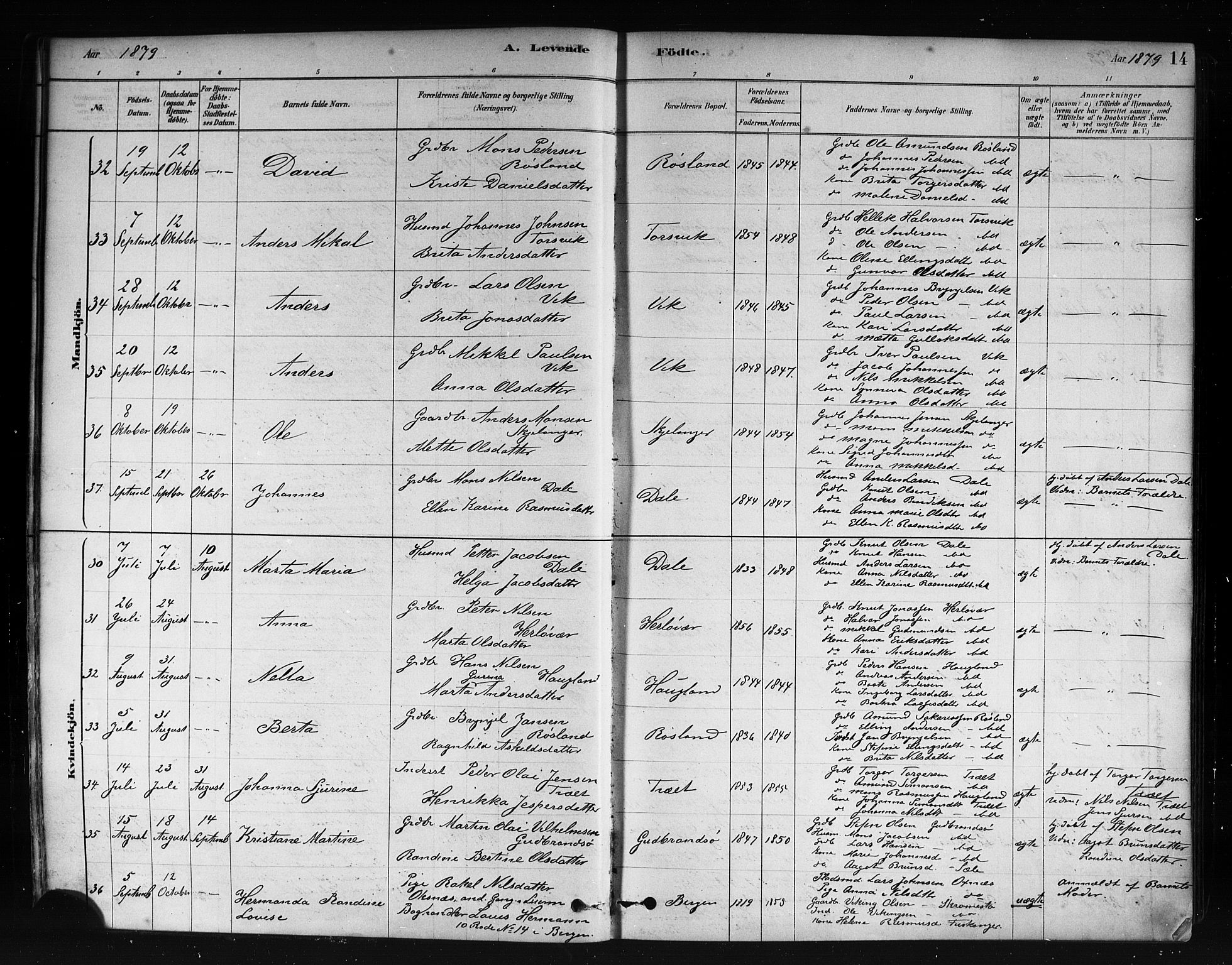 Herdla Sokneprestembete, AV/SAB-A-75701/H/Haa: Parish register (official) no. A 3, 1878-1890, p. 14