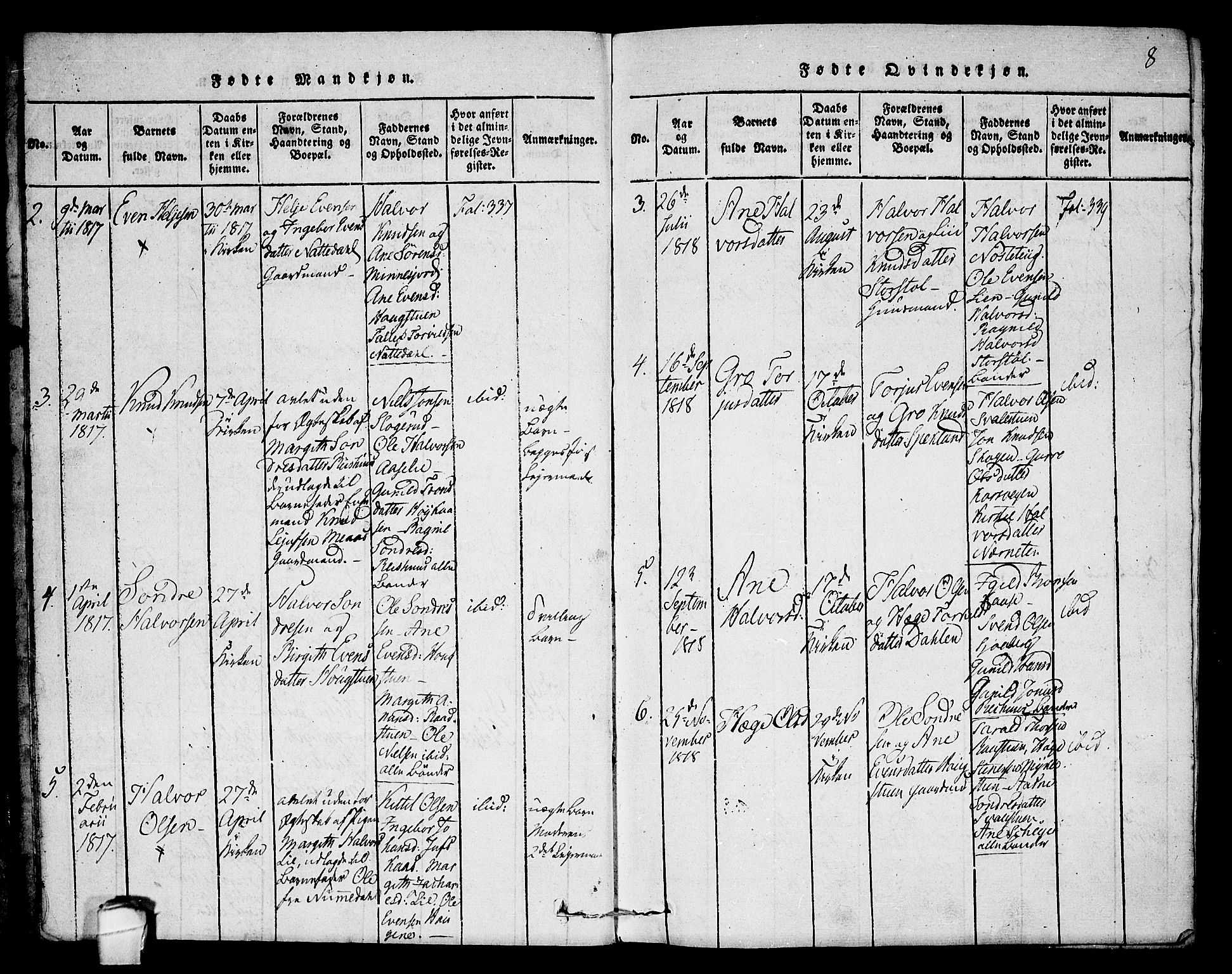 Seljord kirkebøker, SAKO/A-20/F/Fb/L0001: Parish register (official) no. II 1, 1815-1831, p. 8
