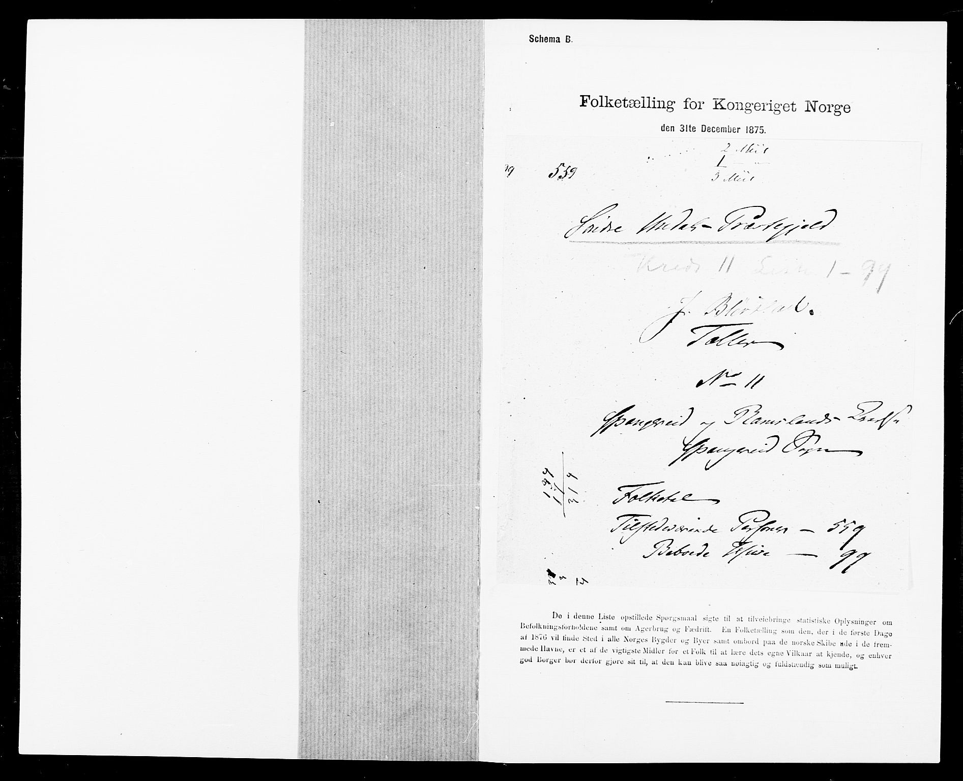 SAK, 1875 census for 1029P Sør-Audnedal, 1875, p. 1532