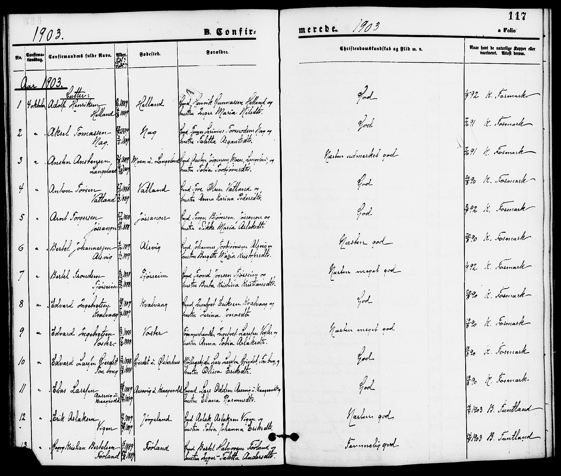 Strand sokneprestkontor, SAST/A-101828/H/Ha/Haa/L0008: Parish register (official) no. A 8, 1874-1907, p. 117