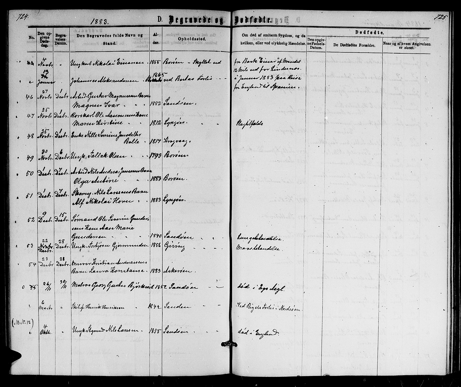 Dypvåg sokneprestkontor, AV/SAK-1111-0007/F/Fb/Fba/L0012: Parish register (copy) no. B 12, 1872-1886, p. 724-725