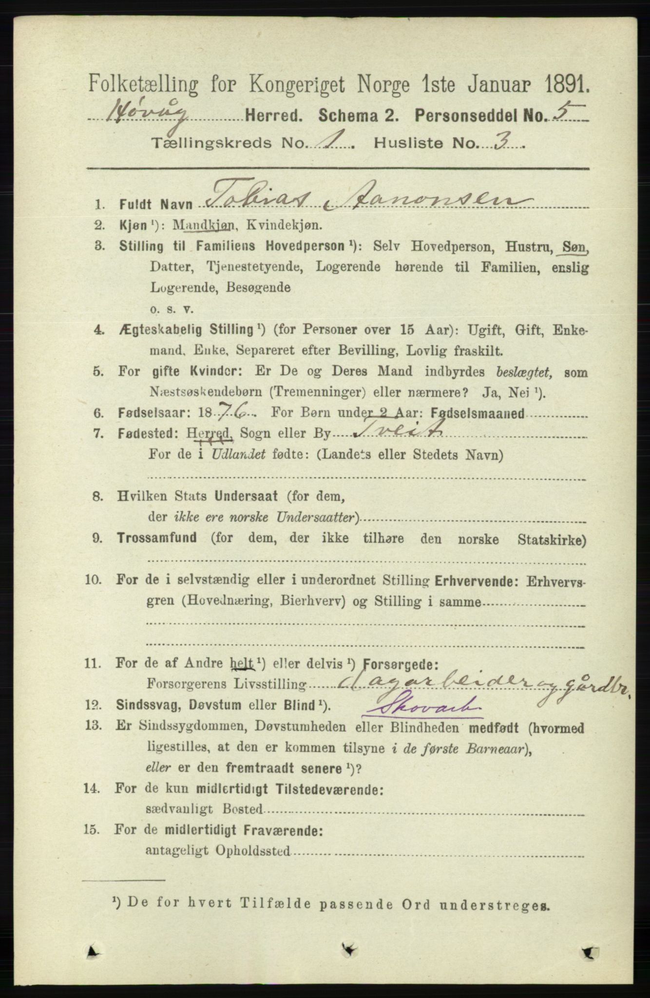 RA, 1891 census for 0927 Høvåg, 1891, p. 101