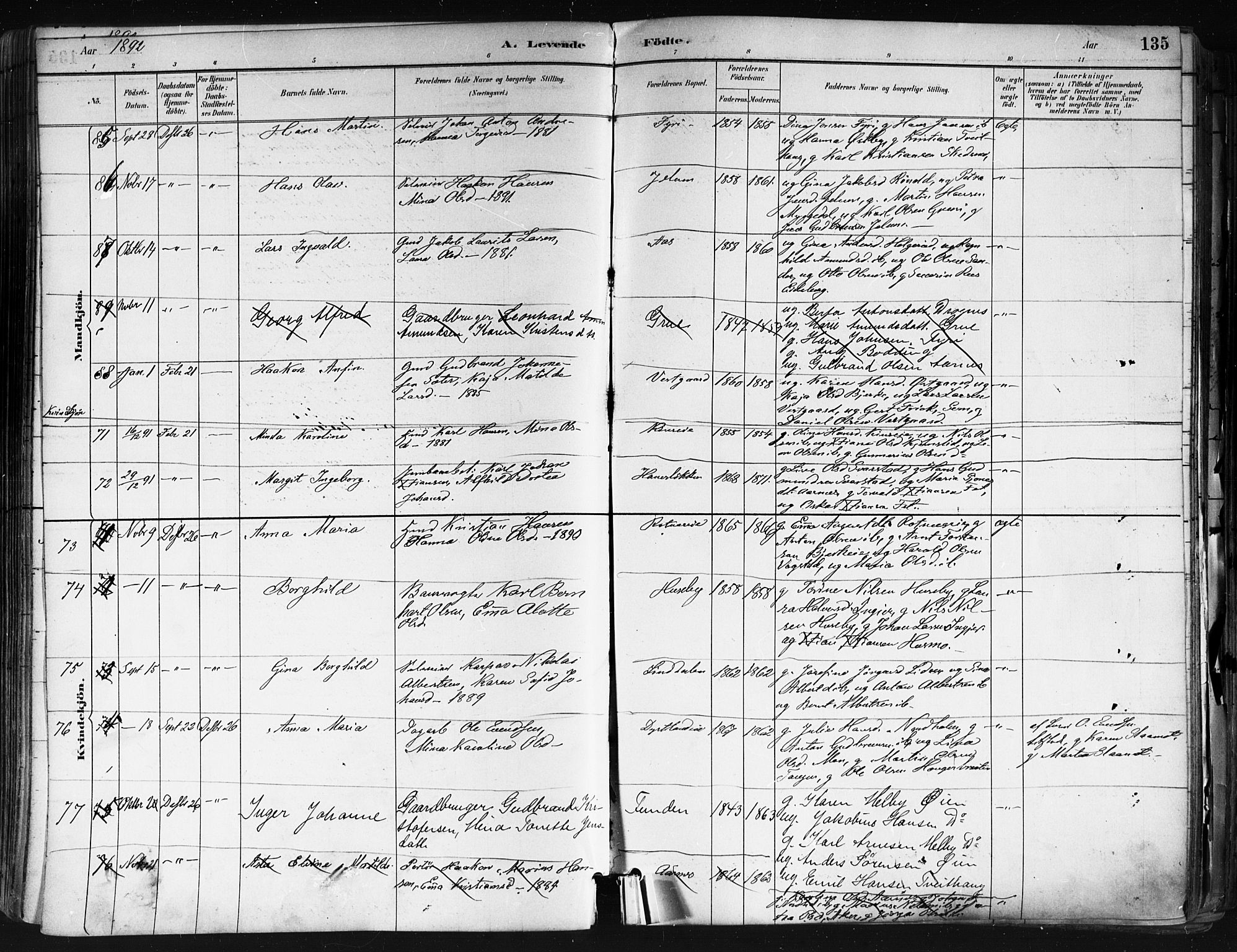 Nes prestekontor Kirkebøker, SAO/A-10410/F/Fa/L0010: Parish register (official) no. I 10, 1883-1898, p. 135