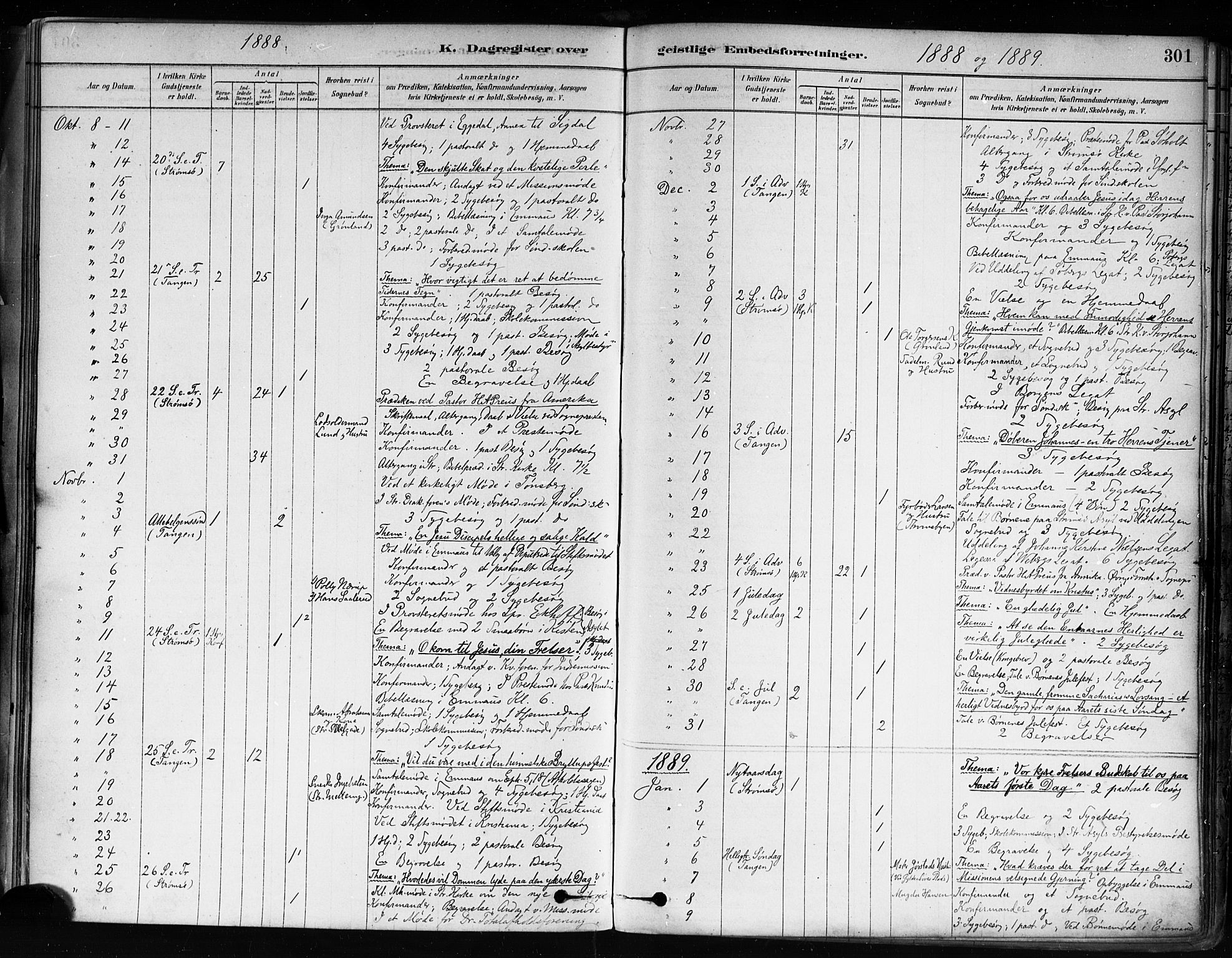 Strømsø kirkebøker, SAKO/A-246/F/Fa/L0022: Parish register (official) no. I 22, 1879-1899, p. 301