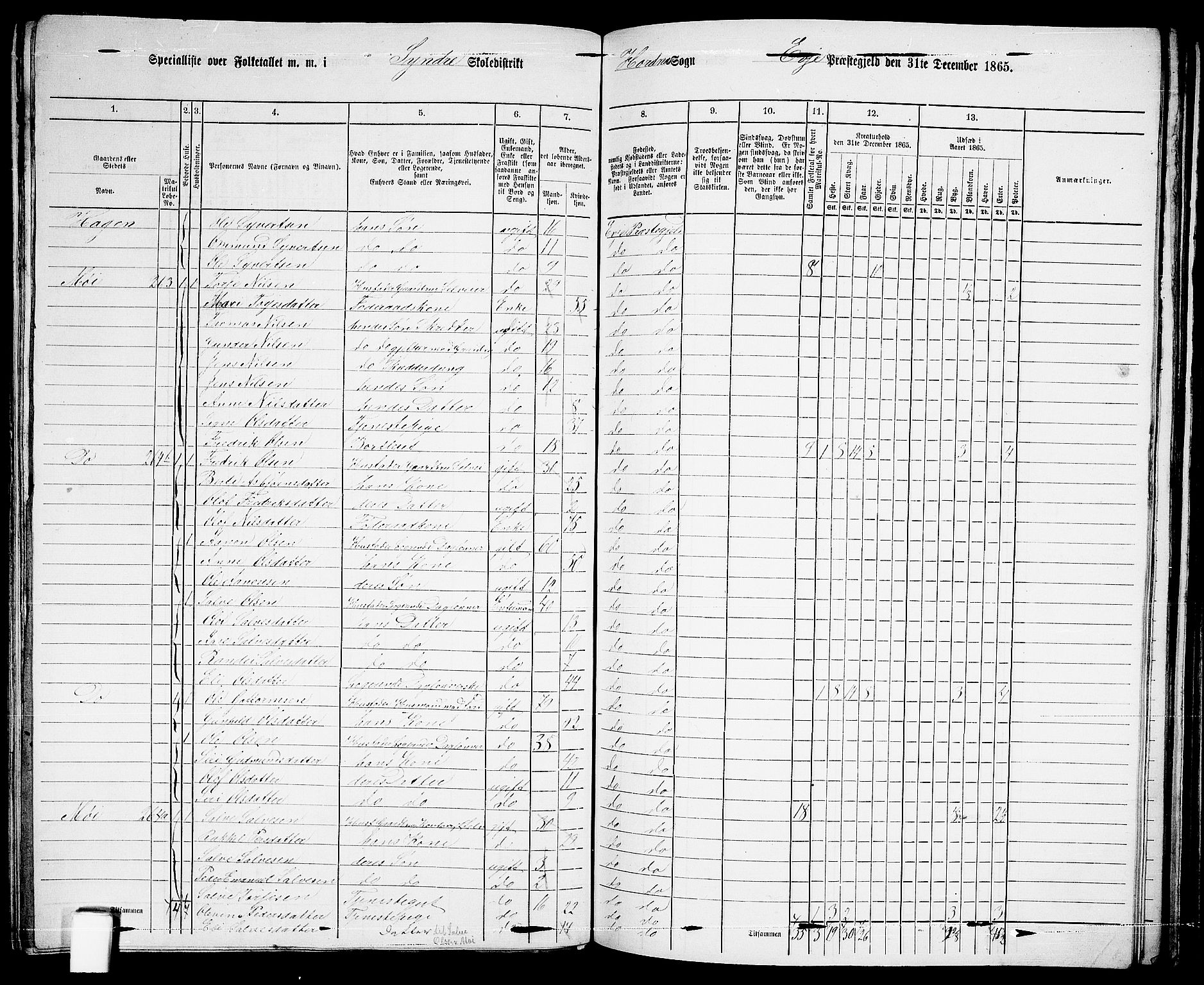 RA, 1865 census for Evje, 1865, p. 120