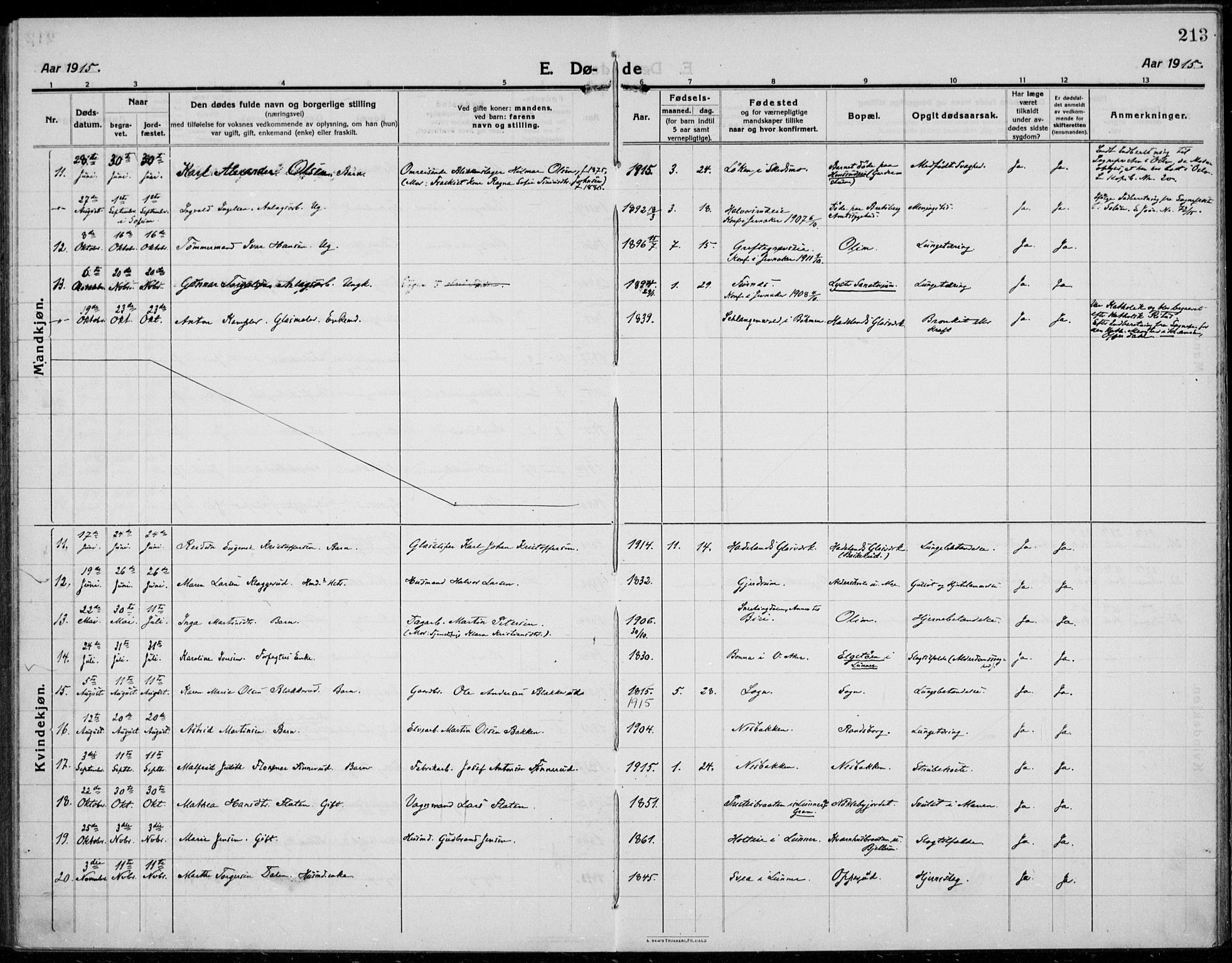 Jevnaker prestekontor, SAH/PREST-116/H/Ha/Haa/L0012: Parish register (official) no. 12, 1914-1924, p. 213