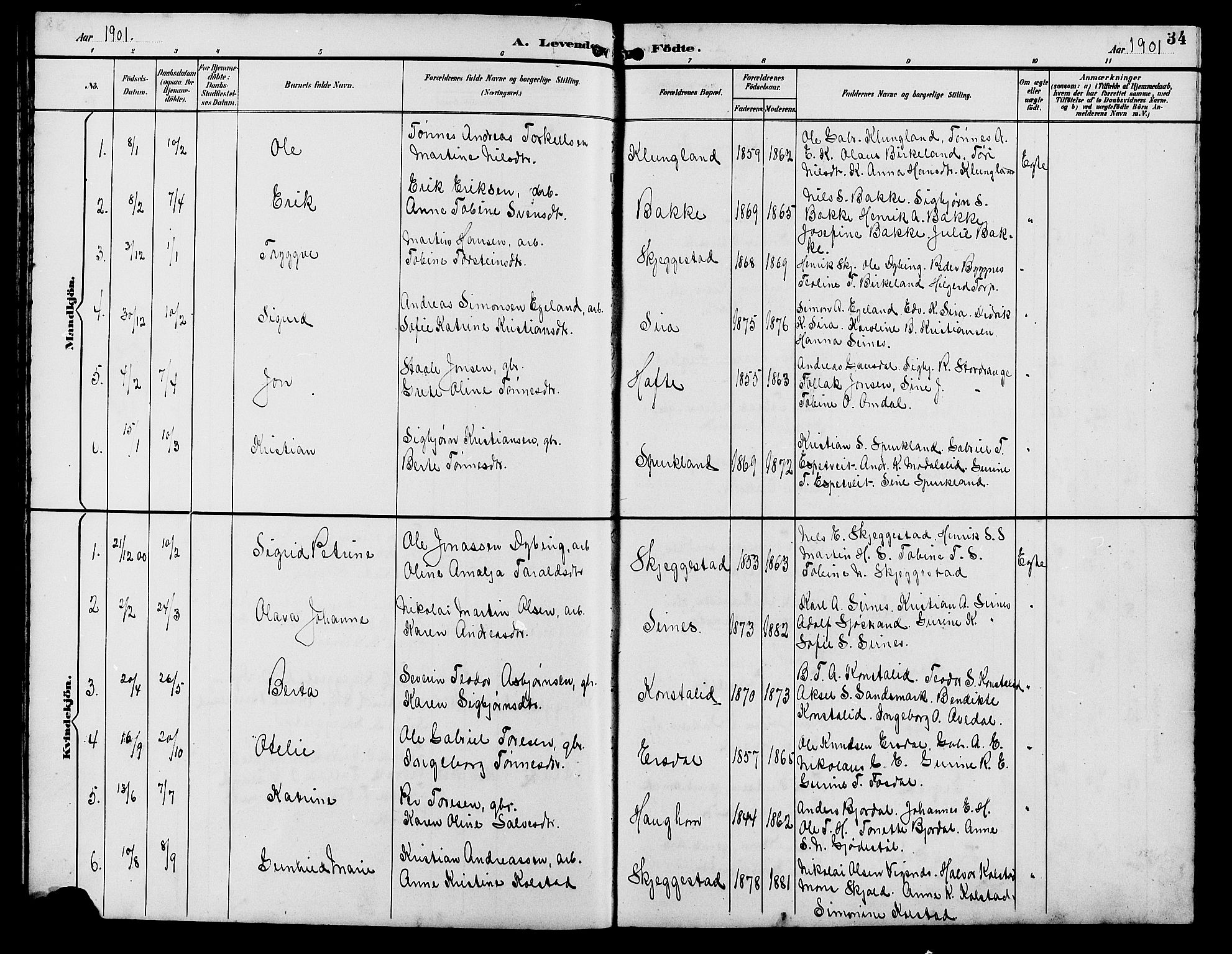 Bakke sokneprestkontor, AV/SAK-1111-0002/F/Fb/Fba/L0003: Parish register (copy) no. B 3, 1894-1910, p. 34