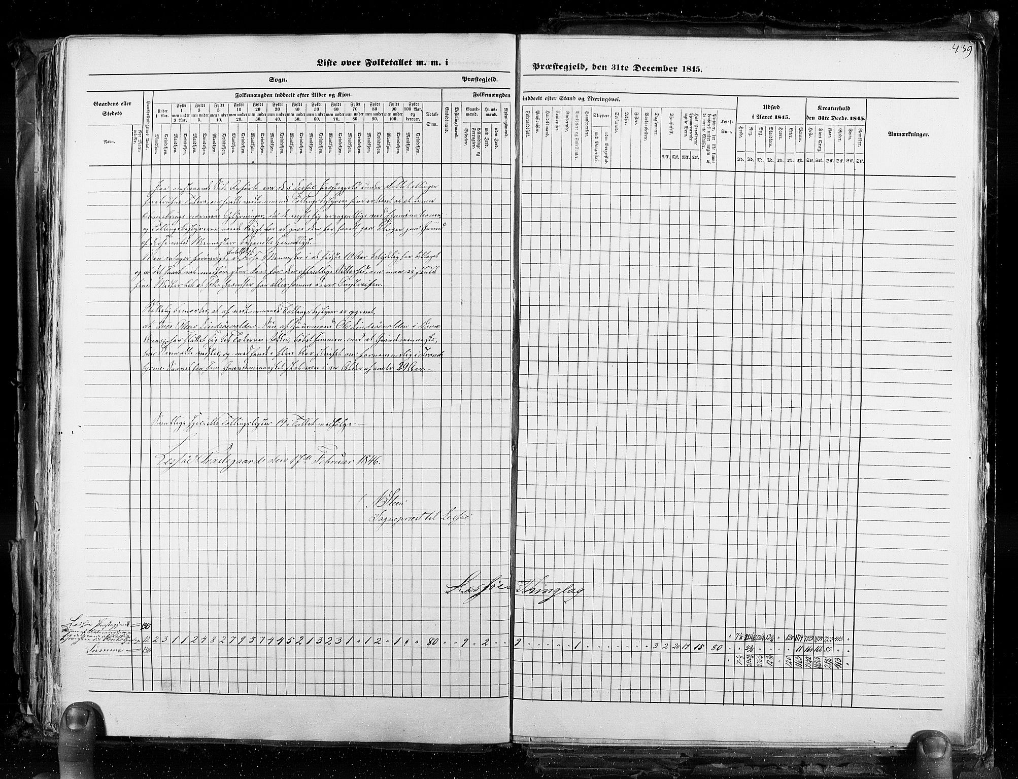 RA, Census 1845, vol. 3: Hedemarken amt og Kristians amt, 1845, p. 439