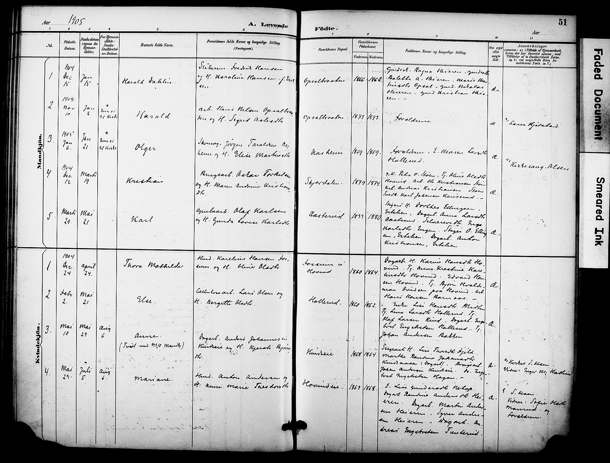 Hole kirkebøker, AV/SAKO-A-228/F/Fb/L0002: Parish register (official) no. II 2, 1892-1906, p. 51