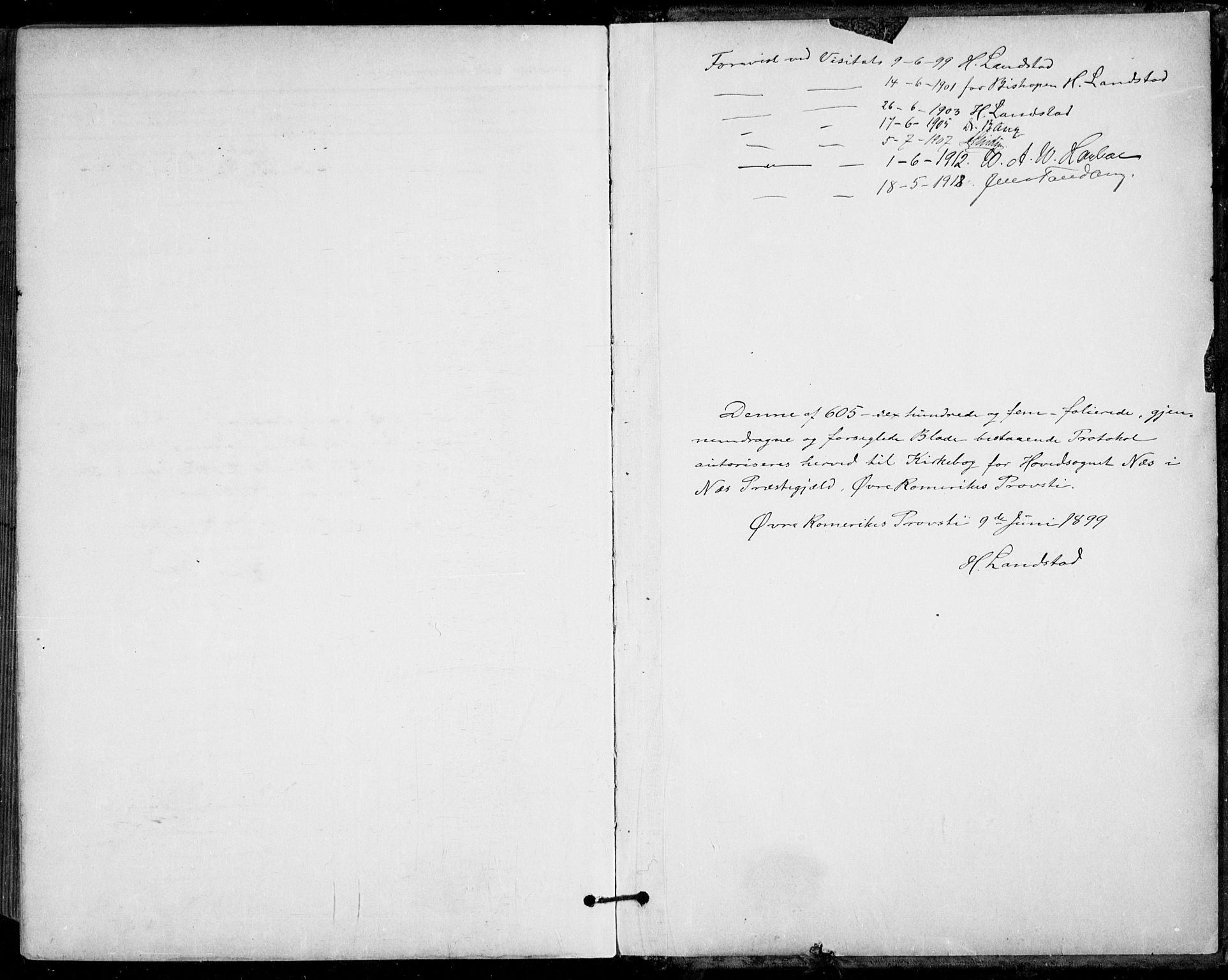 Nes prestekontor Kirkebøker, SAO/A-10410/F/Fa/L0011: Parish register (official) no. I 11, 1899-1918