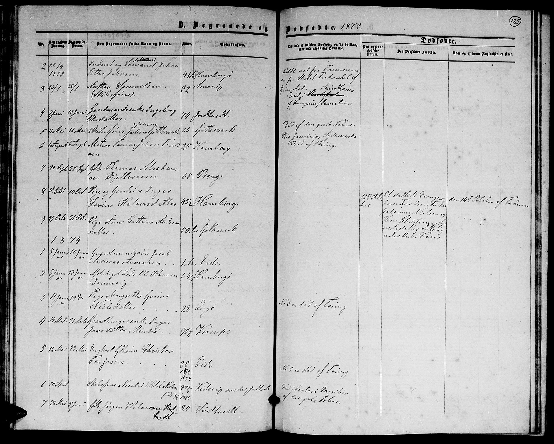 Hommedal sokneprestkontor, AV/SAK-1111-0023/F/Fb/Fba/L0003: Parish register (copy) no. B 3, 1863-1884, p. 125